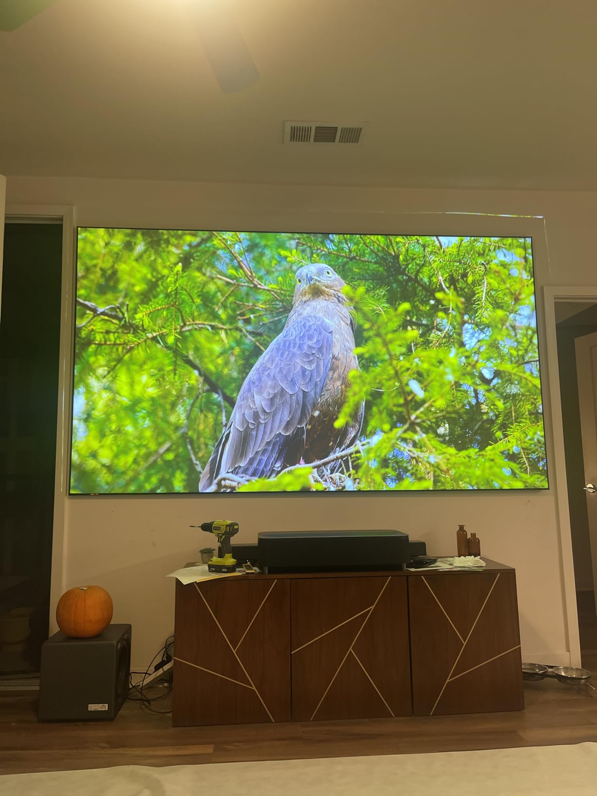 Akia Screens ALR Projector Screen 115 inch 16:9 4K UST Ultra Short Throw Projection, High Black Levels, Ceiling Ambient Light Rejecting Screen, Edge Free Fixed Frame Movie Screen AK-NB115H-CLR4 customer photo 1