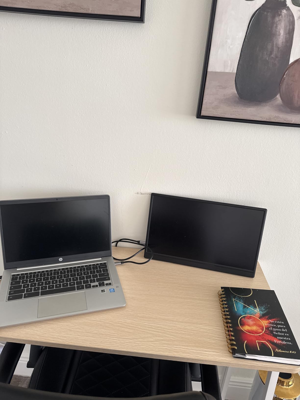 Anyuse Portable Monitor for Laptop 15.6 Inch 1080P USBC-C HDMI Ultra-Slim Travel Monitor with Kickstand, Second External Monitor for Laptop,PC,Mac Phone,PS,Xbox,Swich, black, PM-156P1 customer photo 2