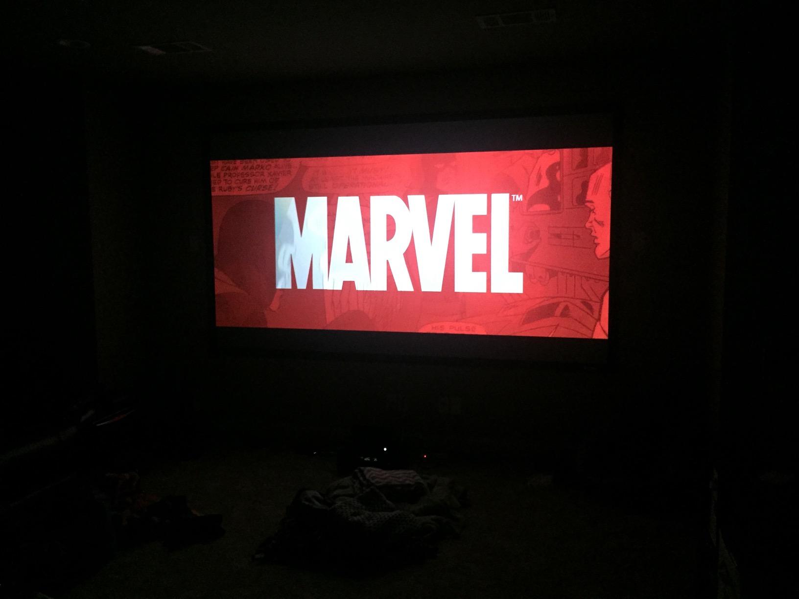 Elite Screens 120 inch CLR and ALR Projector Screen 16:9 4K, Standard Throw Projection Screen, Fixed Frame Projector Screen Grey, Indoor Movie Screen Home Theater - Sable Frame CineGrey 3D ER120DHD3 customer photo 2