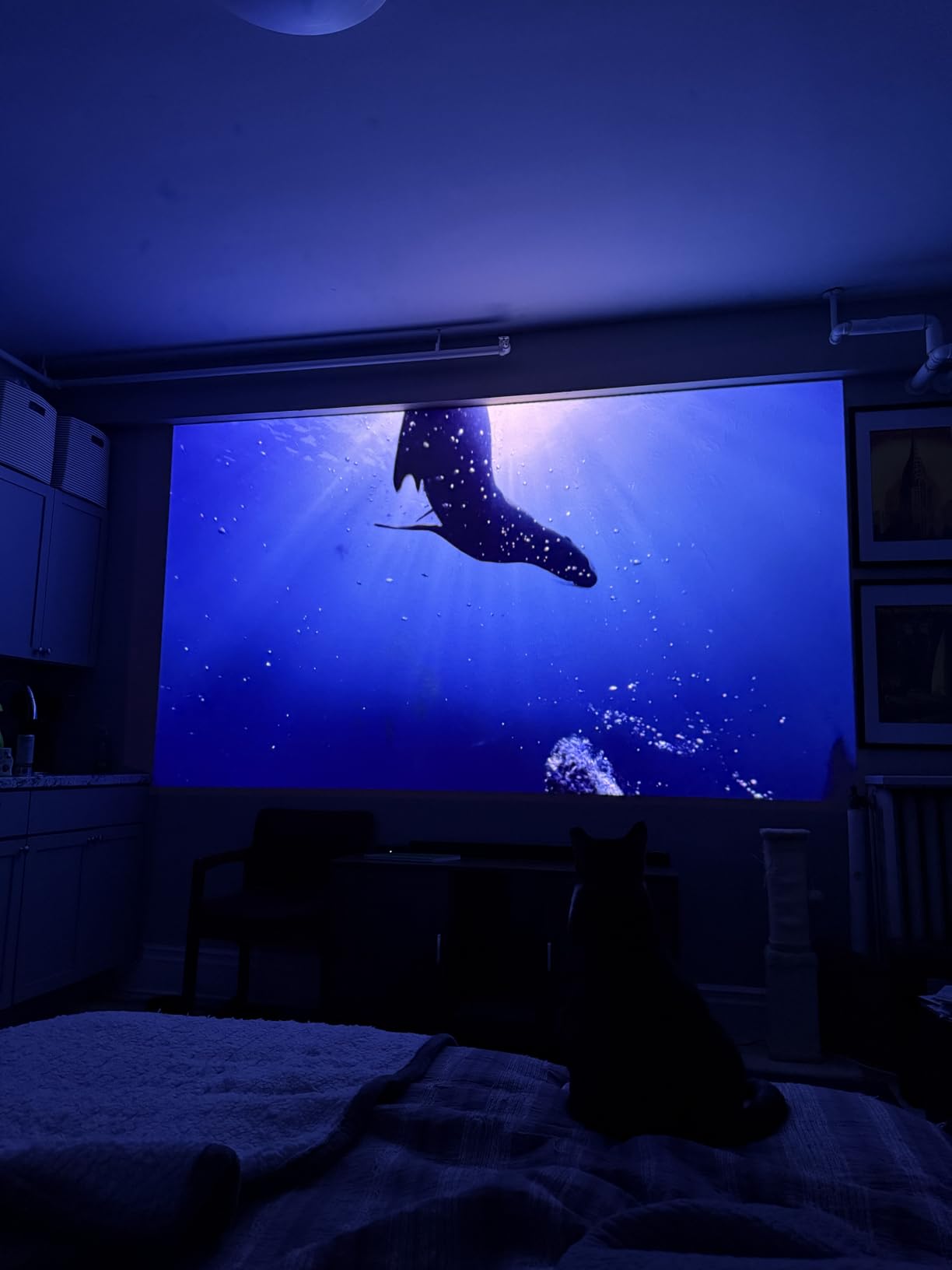 JMGO N1S Ultimate Triple Laser 4K Projector, 3300 ISO Lumens Projector, Google TV Netflix, Real-Time Auto Screen Fit, HDR10, 300