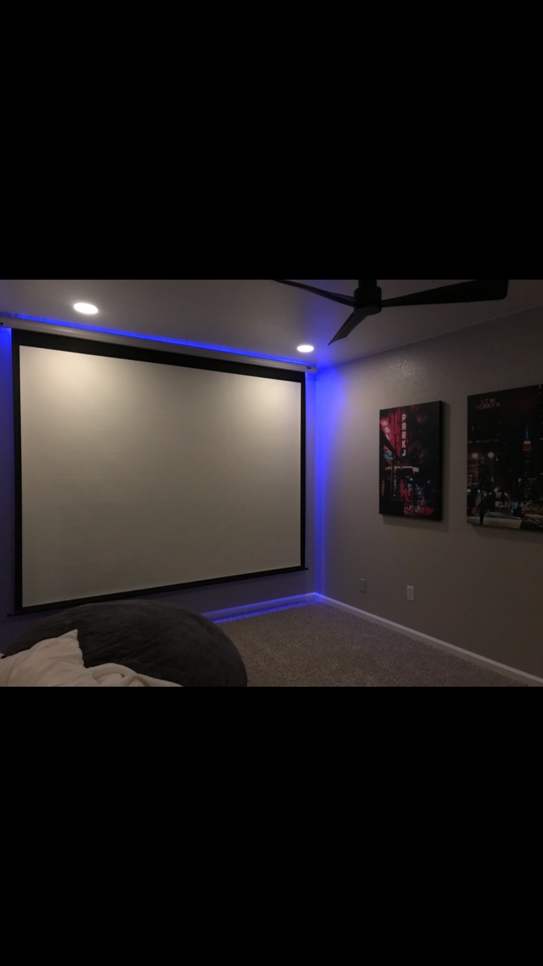 Elite Screens Spectrum 105-Inch 16:9 Electric Motorized Projector Screen w/Swift-RC1 Remote, 4K/8K Ultra HD Ready, Home Theater & Gaming, ELECTRIC105H2 customer photo 1