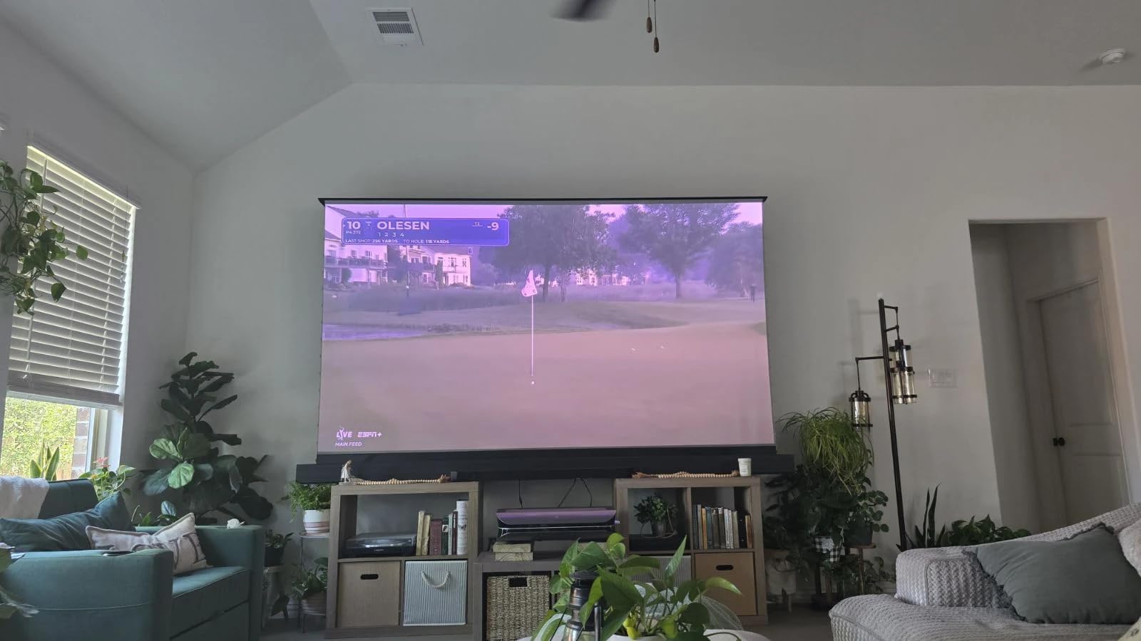 NothingProjector Motorized ALR Screen for Ultra Short Throw Projector, 95% Ambient Light Rejecting, 100 inch, Floor Rising, 4K/8K UHD, Active 3D, Anti Daylight, Electric Retractable Automatic NothPJ customer photo 2