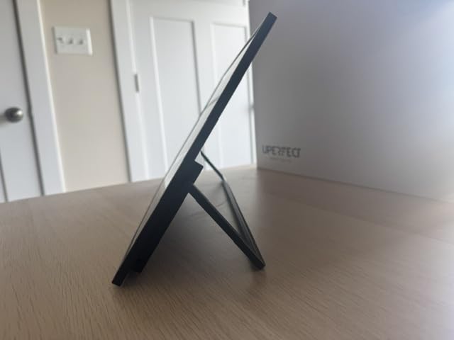 Portable Monitor 18.5