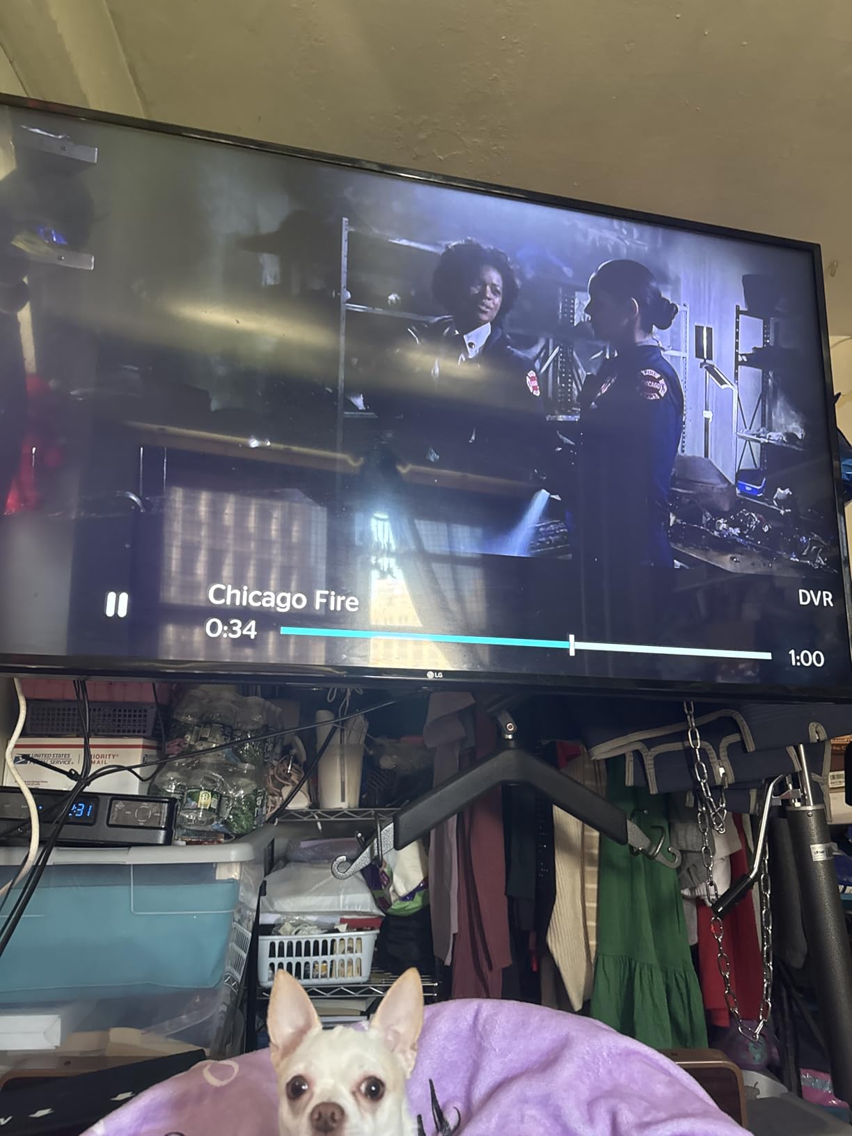 FPD Smart TV 32 Inch 720p HD Powered by Tizen OS Flat Screen Television | HDR10, Dolby Audio, Gaming Hub, SmartThings, Miracast, 350+ free live channels via Samsung TV Plus customer photo 1