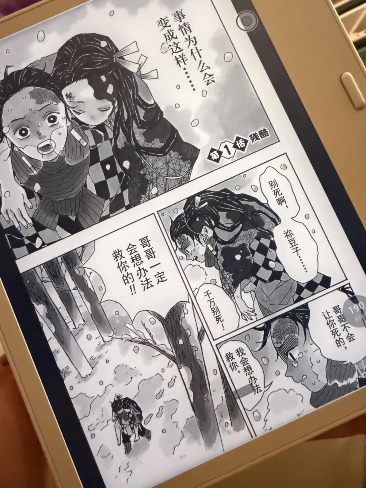 BOOX Tablet Go 7 B/W E Ink Tablet 4G 64G Support Active Stylus InkSense (White) customer photo 2