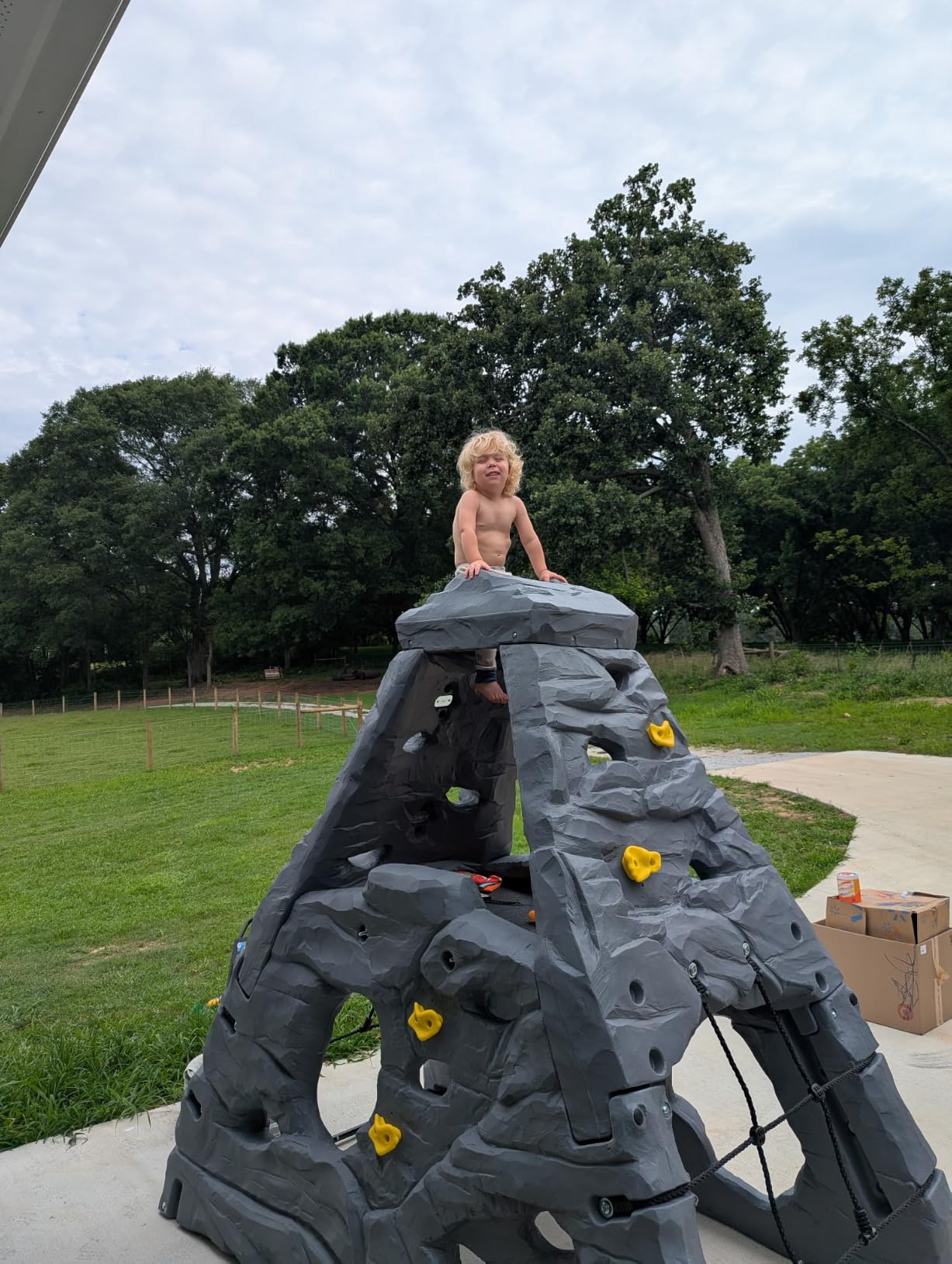 Step2 Skyward Summit for Kids, Climbing Wall Playset for Toddlers, Ages 4 –8 Years Old, Easy to Assemble Kids Outdoor Playground for Backyard customer photo 1