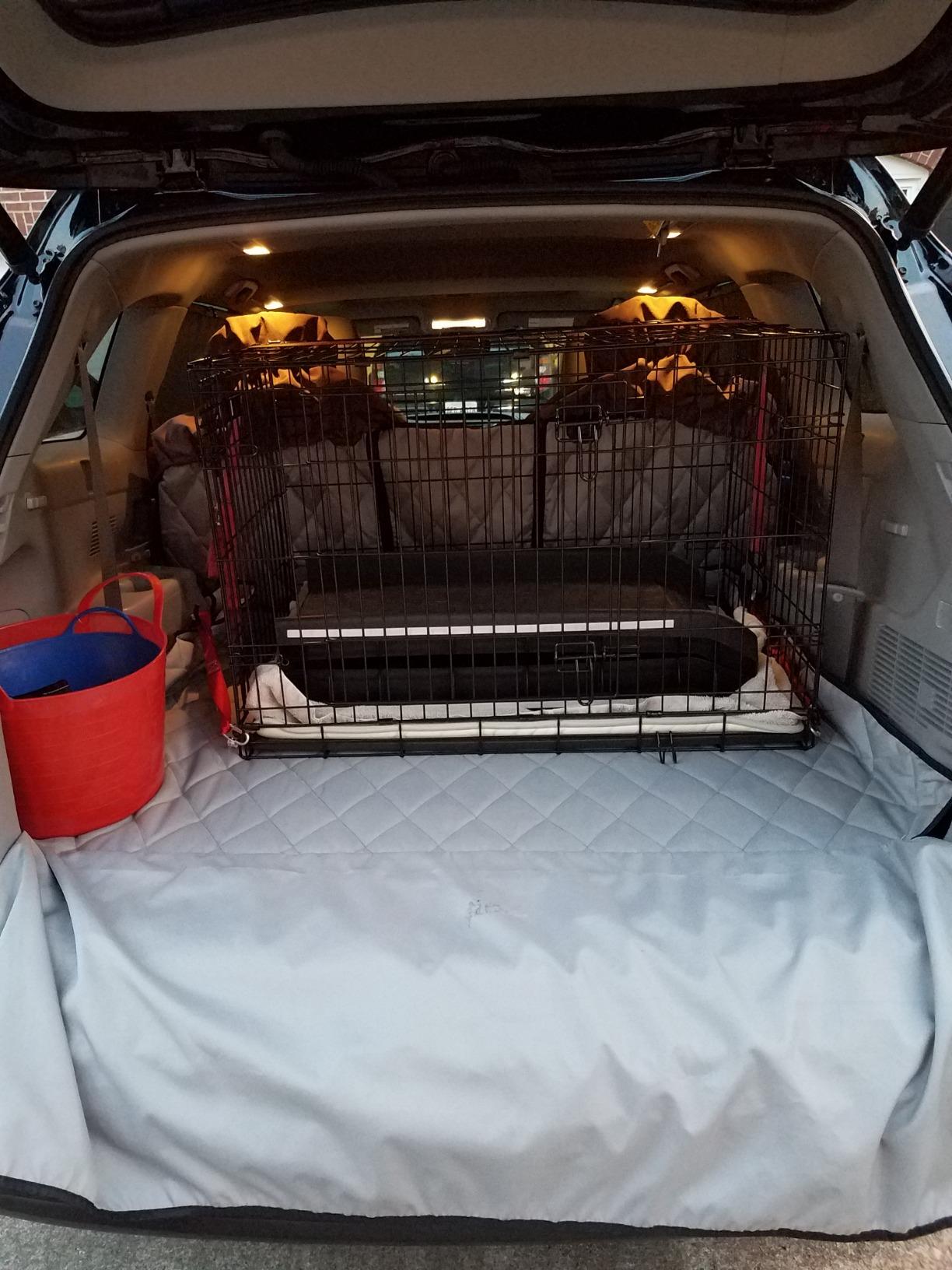 PetSafe Happy Ride Folding Pet Ramp for Cars, Trucks, & SUVs- 62 Inch Portable for Large Dogs with Siderails, Non-Slip- Weighs Only 10 lb, Supports up to 150 lb, Easy Storage, Folds in Half customer photo 1