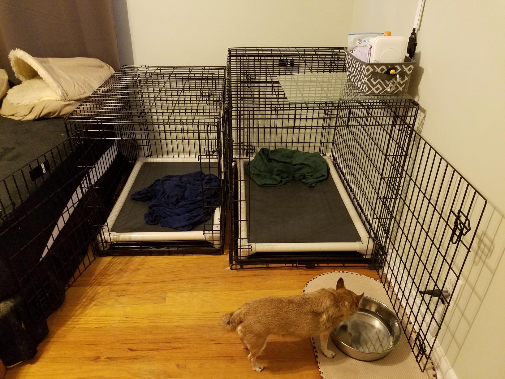 MidWest Homes for Pets Ultima Pro Heavy-Duty 42-Inch Dog Crate, Ultra-Strong Steel Double Door Pet Cage for Large Breeds, Accessories Included customer photo 1