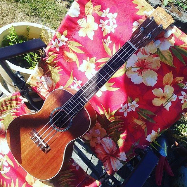 Cordoba 15CM Concert Ukulele - Hand Crafted With Mahogany Top, Back & Sides, Authentic Abalone Rosette & Satin Finish & Premium Italian Aquila Strings customer photo 1
