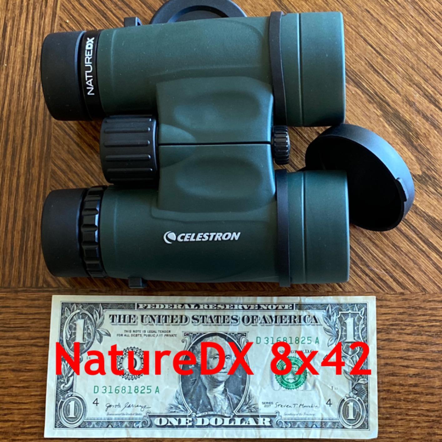 Celestron Nature DX 8x42 Waterproof Binoculars for Bird Watching & Outdoors | Phase-Coated BaK-4 Prisms, Bright Fully Multi-Coated Optics, 42mm Objective Lenses, Durable Rubber Armor customer photo 2