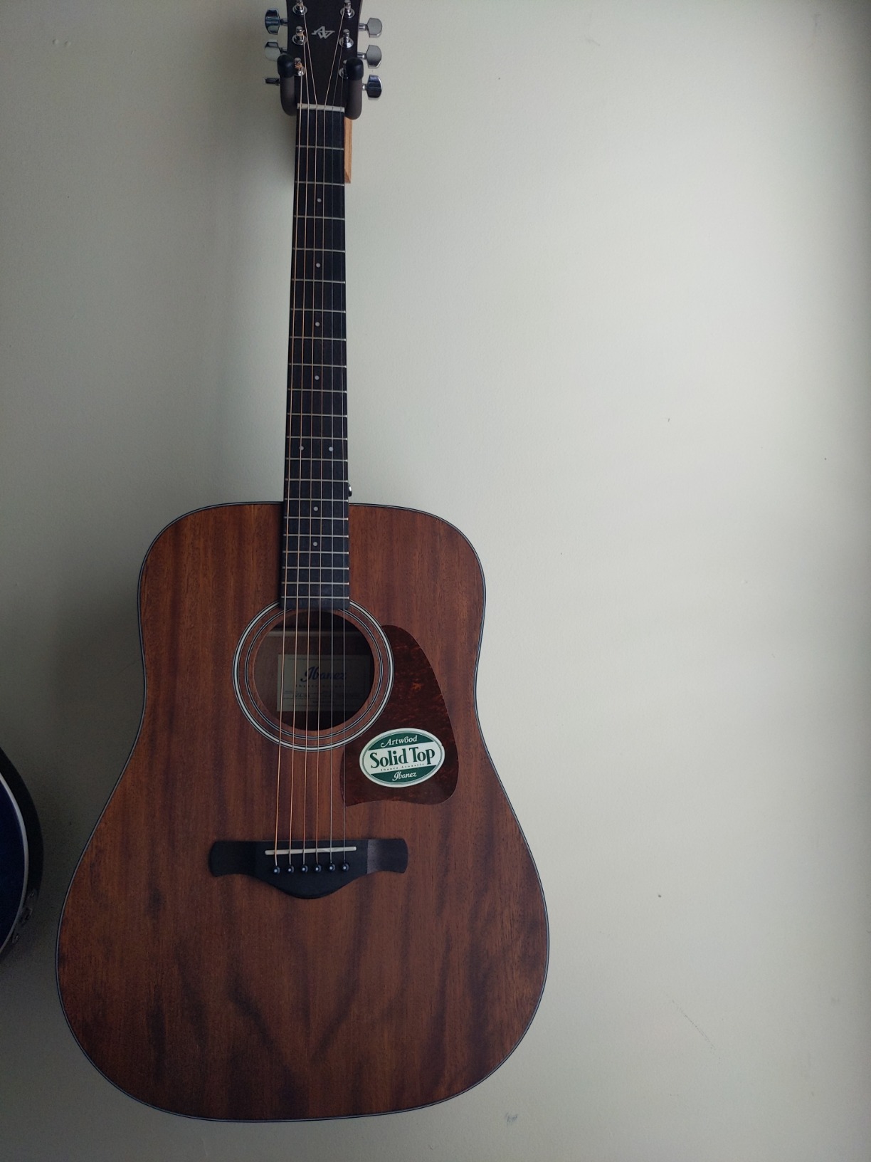 Ibanez Artwood Dreadnought Acoustic Guitar, Open Pore Natural customer photo 2