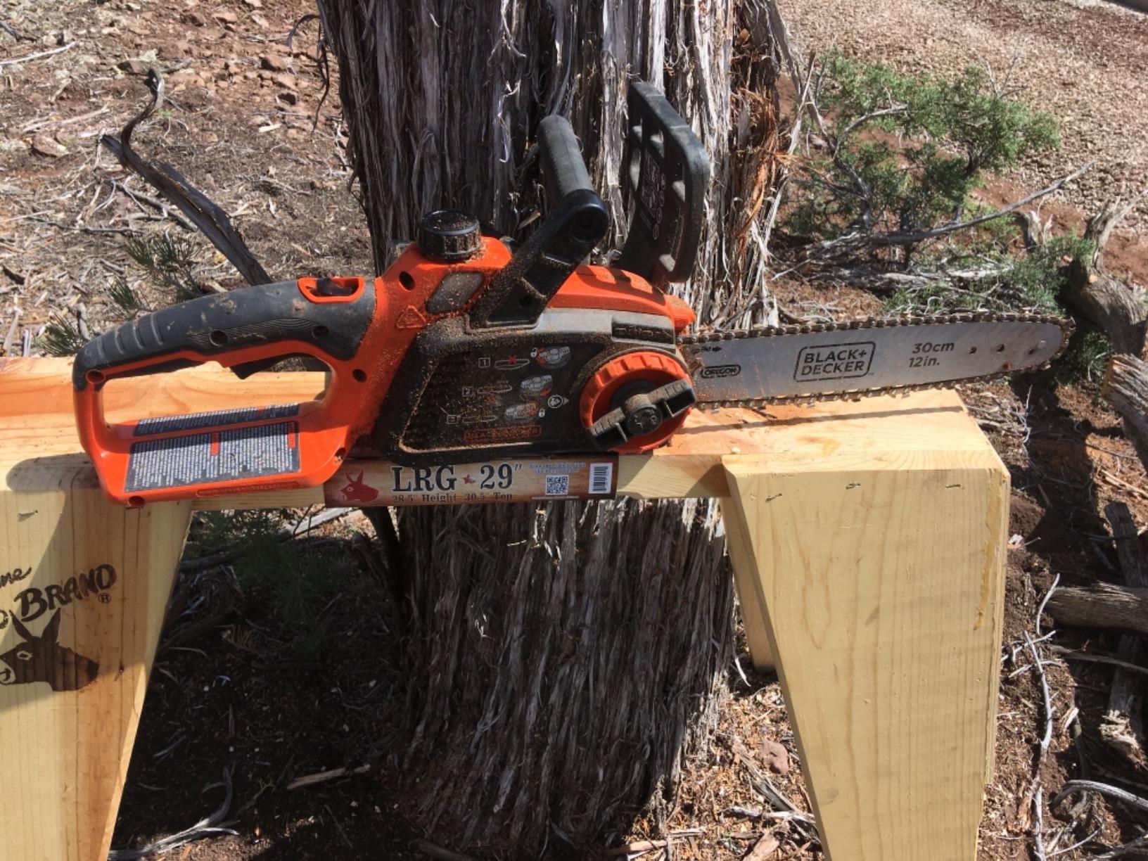 BLACK+DECKER 40V MAX Electric Chainsaw Cordless, 12 Inch Battery Chainsaw, Battery and Charger Included, Longer Runtime, Lightweight Rechargeable (LCS1240) customer photo 2