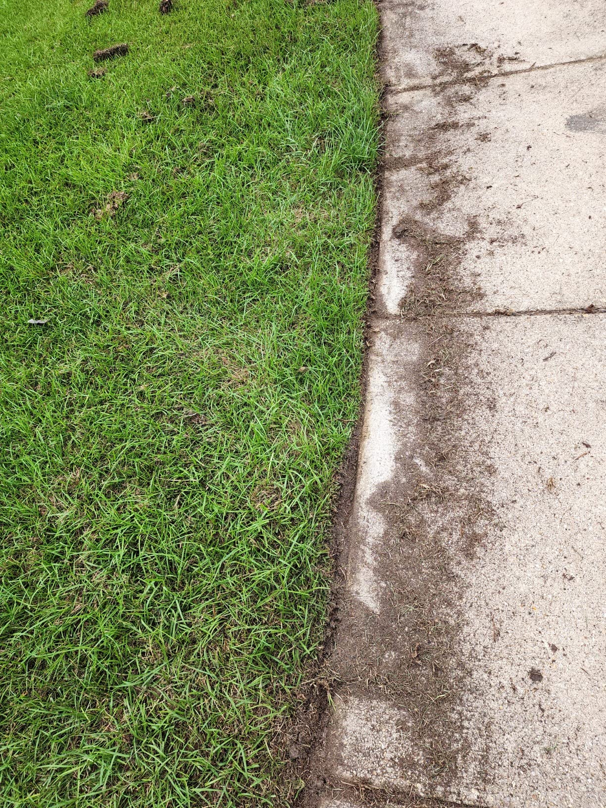 WORX 12 Amp 7.5'' Electric Lawn Edger & Trencher | Corded, WG896 customer photo 2