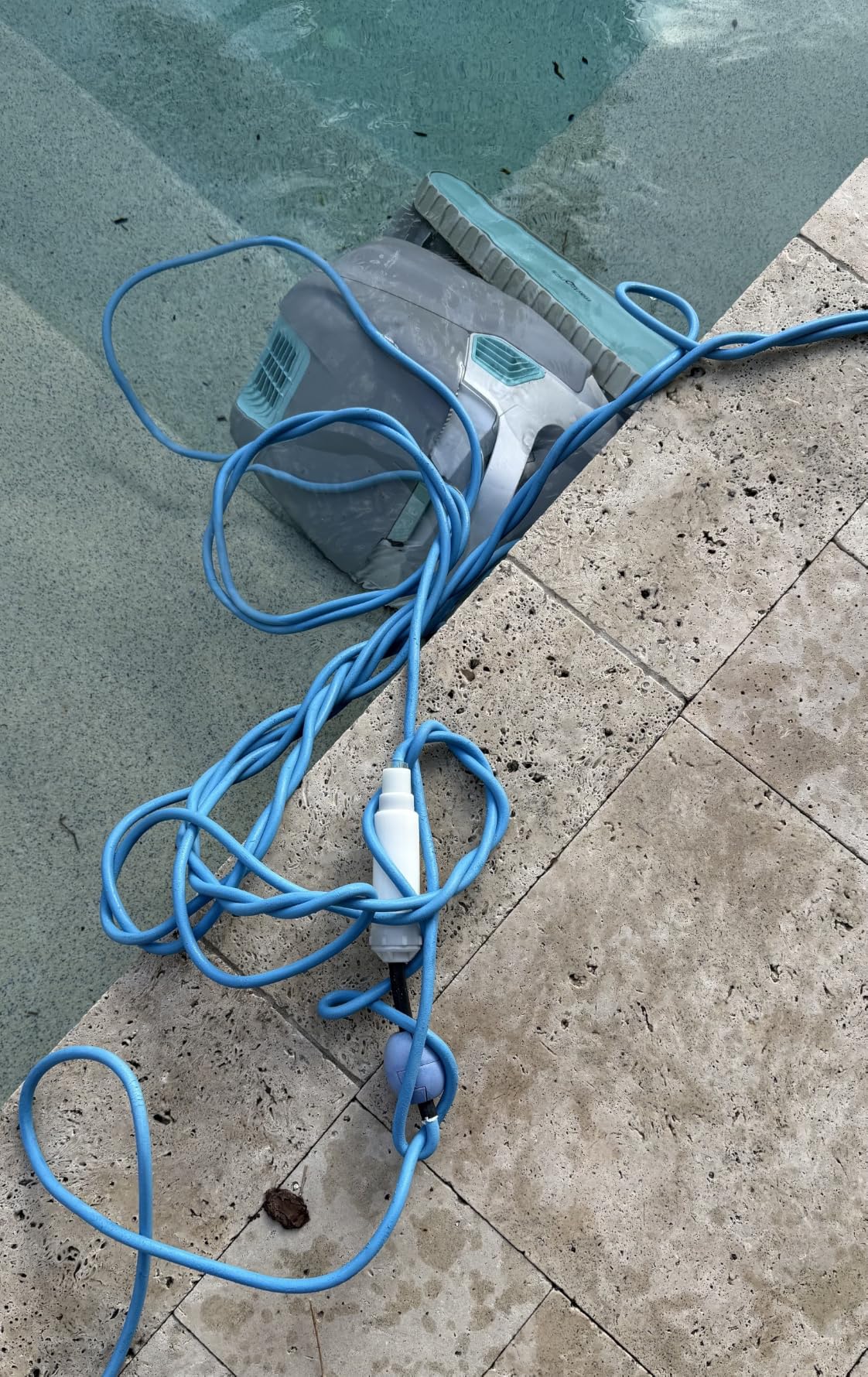 Dolphin Automatic Robotic Pool Vacuum Cleaner, Wall Climbing Scrubber Brush, Smart Navigation, Ideal for In-Ground Pools up to 50 FT in Length - Nautilus CC Plus customer photo 2