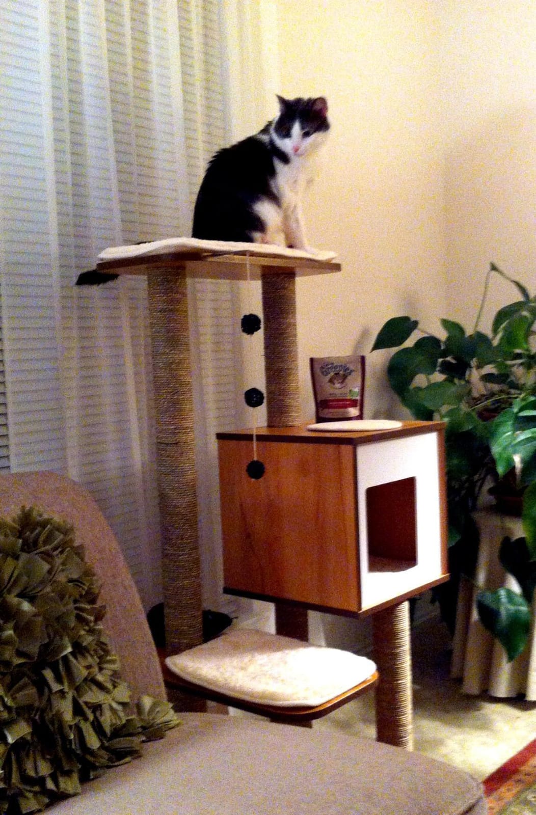 Vesper Cat Tree, High Base, Walnut, 52045 customer photo 1