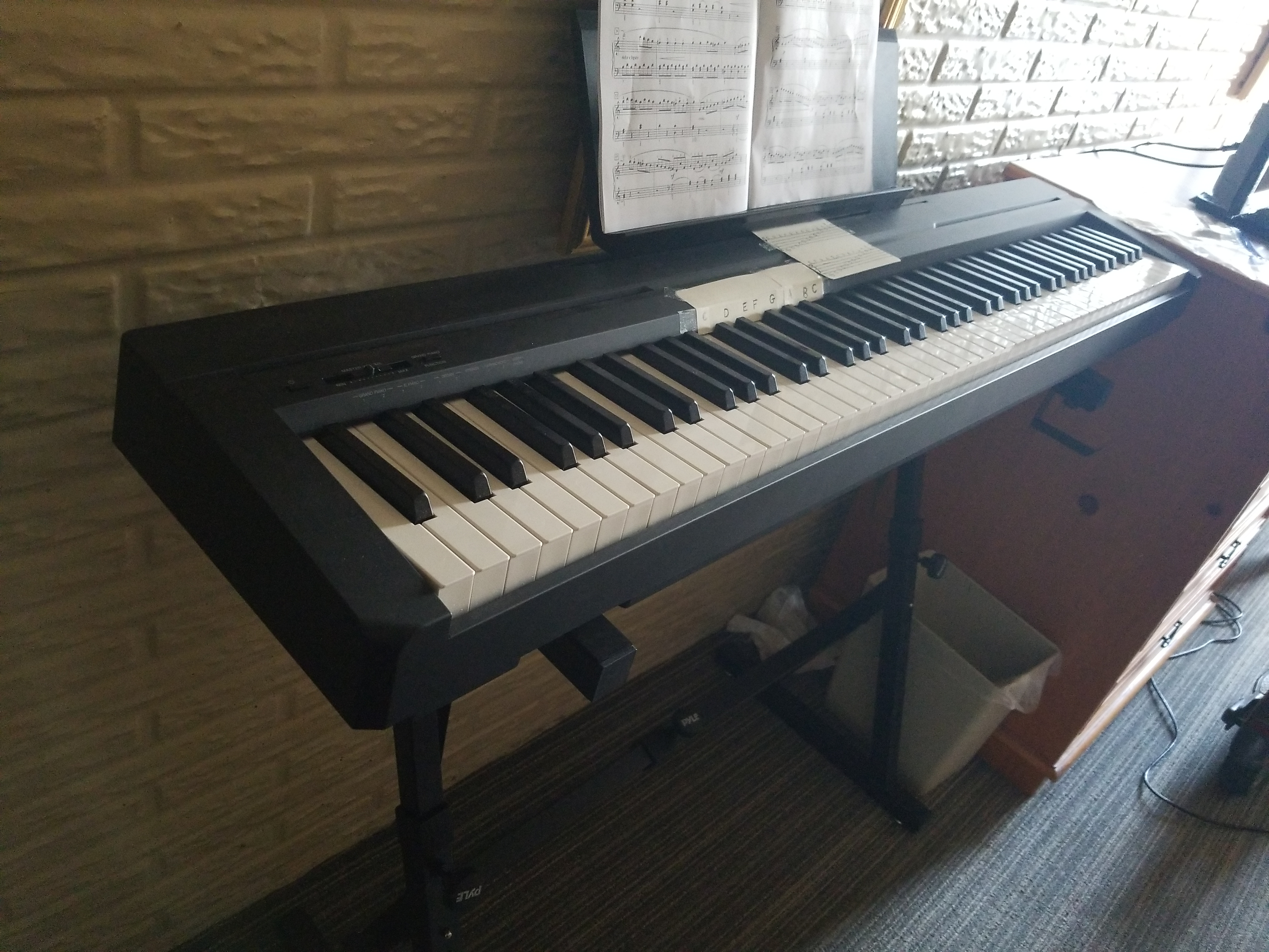 Yamaha 88-Key Weighted Portable Digital Piano Keyboard with Music Rest, Sustain Foot Switch, Built-in Speakers, USB Connectivity, Black (P45B) customer photo 1