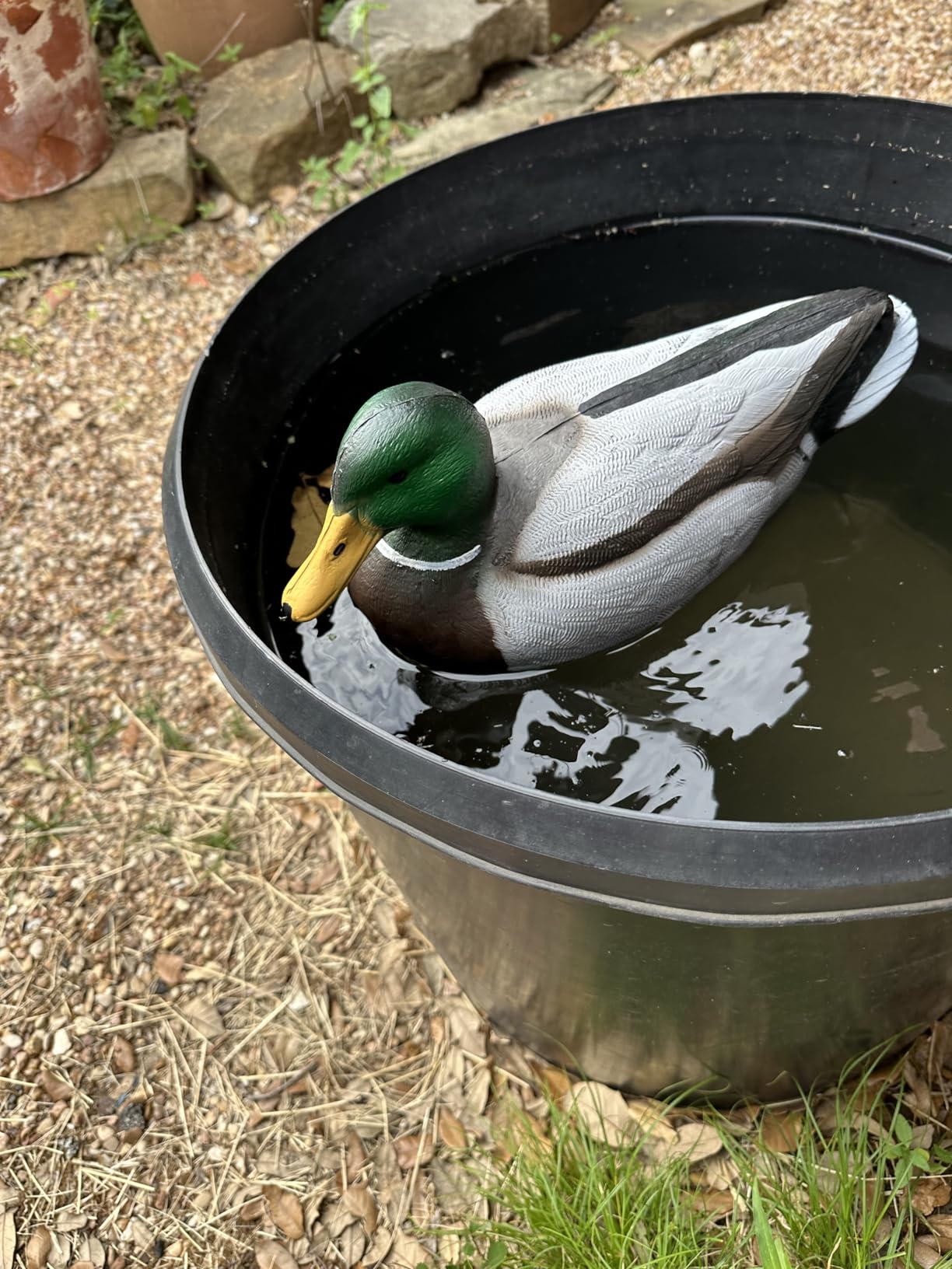 Flambeau Outdoors Storm Front 2 Mallard Decoys, Classic Floaters, 6-Pack customer photo 2