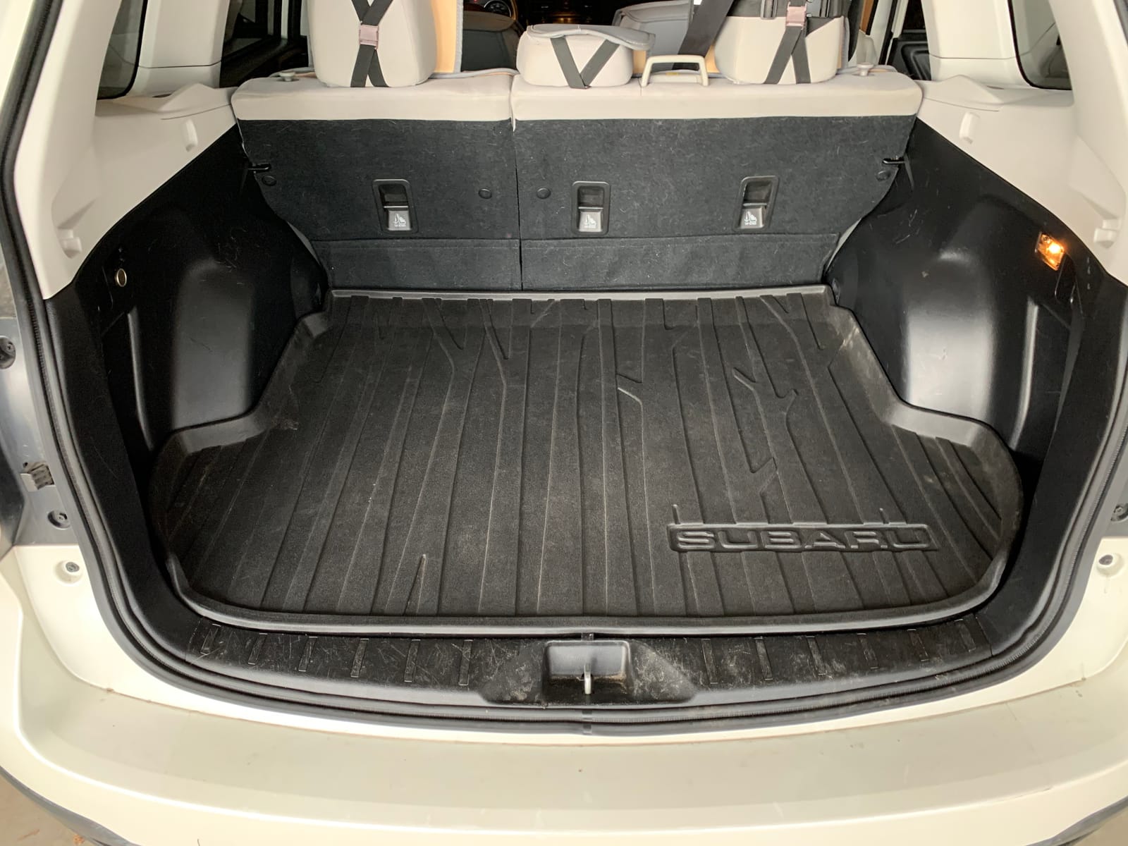 JBL BassPro SL 8-inch 125W RMS Powered Under-Seat Compact Subwoofer Enclosure System (250 watts RMS: 125 watts), Black customer photo 1