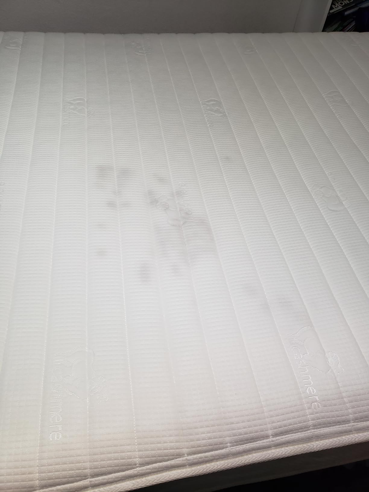 Sunrising Bedding 8