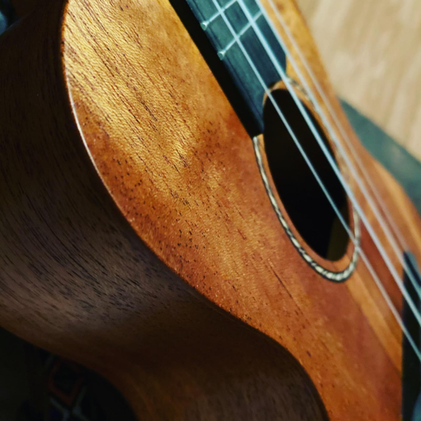Donner Concert Ukulele Beginner Mahogany 23 Inch Ukelele Kit with Free Online Lesson Gig Bag Strap Nylon String Tuner Picks Cloth DUC-1 customer photo 1