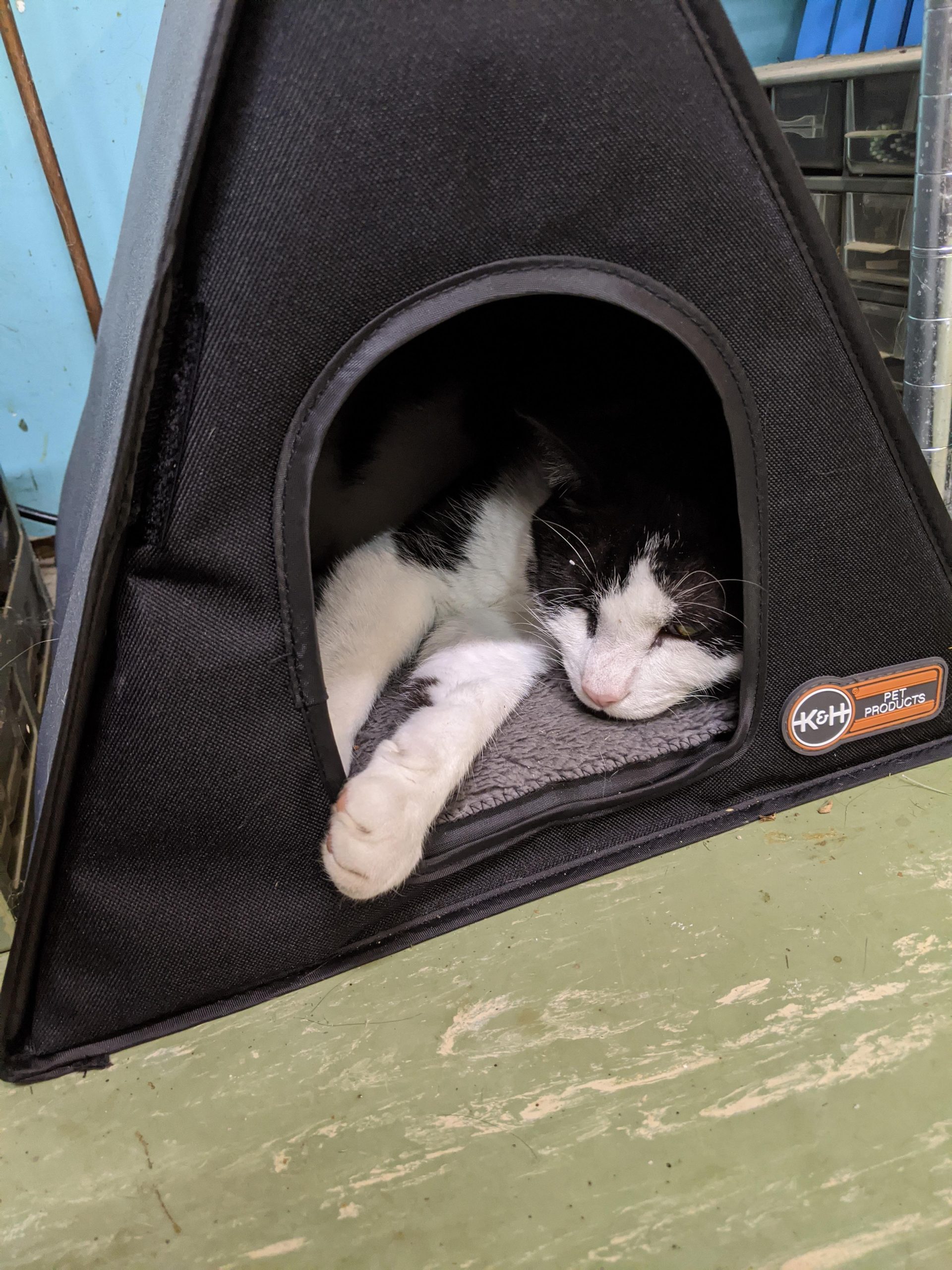 K&H Outdoor Cat House Heated A-Frame Shelter for Outside, Safety Listed 20W | Heated Cat House for Outside, Weatherproof Shelter for Strays & Ferals, Insulated Outdoor Kitty House, Removable Door Flap customer photo 2