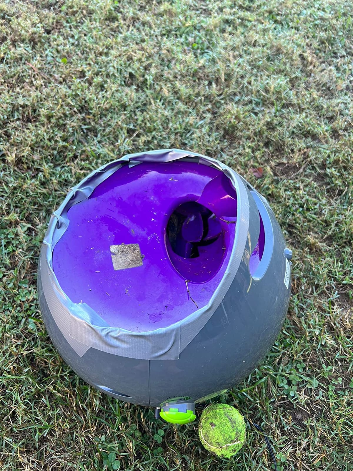 PetSafe Automatic Dog Ball Launcher | Launches 8-30 Ft with 9 Distance and 6 Angle Settings, Motion Sensors Protect up to 7 Ft, Auto Sleep After 15 Minutes of Play customer photo 2