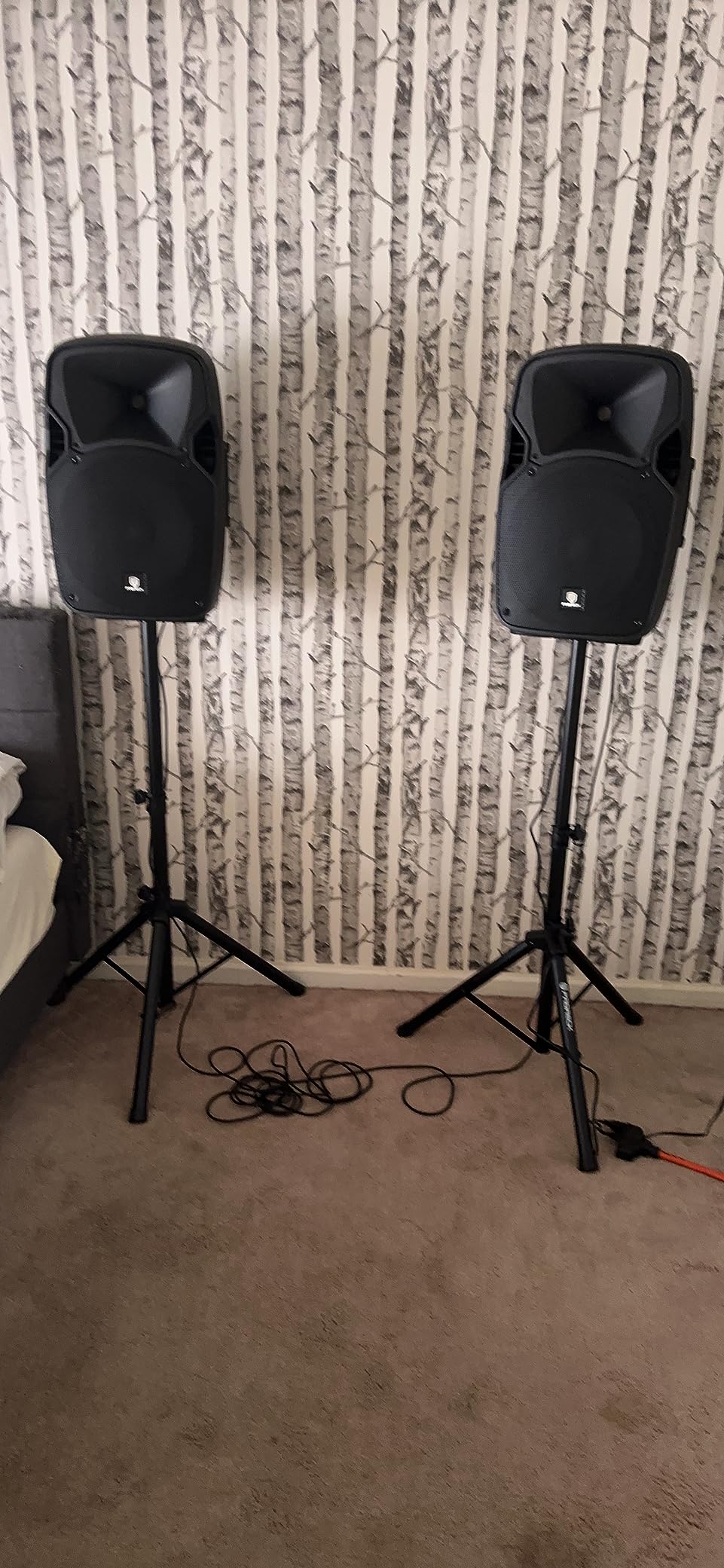 PRORECK Party 12 12-Inch 1800W 2-Way Powered PA Speaker System Combo Set with Bluetooth/USB Drive/SD Card/FM/Remote Control/Speaker Stands for Indoor, Outdoor DJ Parties, Personal Gatherings, Karaoke customer photo 1