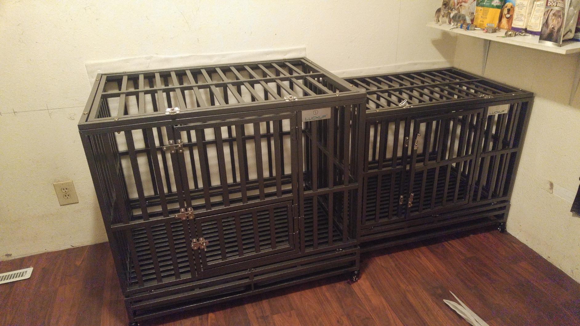 LUCKUP 38 Inch Heavy Duty Dog Cage Metal Kennel and Crate for Large Dogs, Easy to Assemble Pet Playpen with Four Wheels, Black customer photo 1