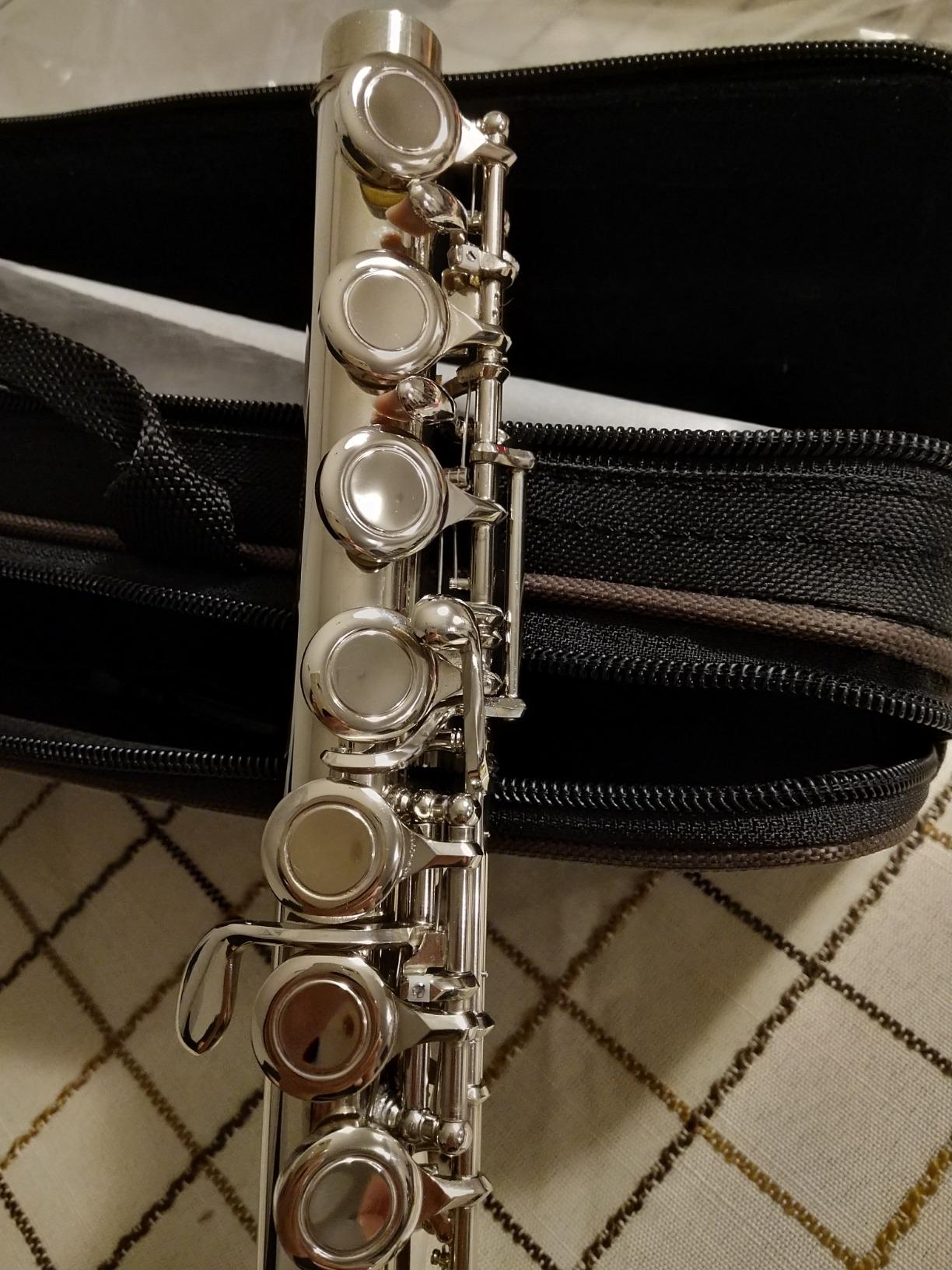 Eastar Open Hole Flute C Key for Beginners, 16 Keys Offset G Split E Student Flute with Case, Fingering Chart, Stand, Cleaning Kit, Advanced Silver Plated, EFL-2 customer photo 1