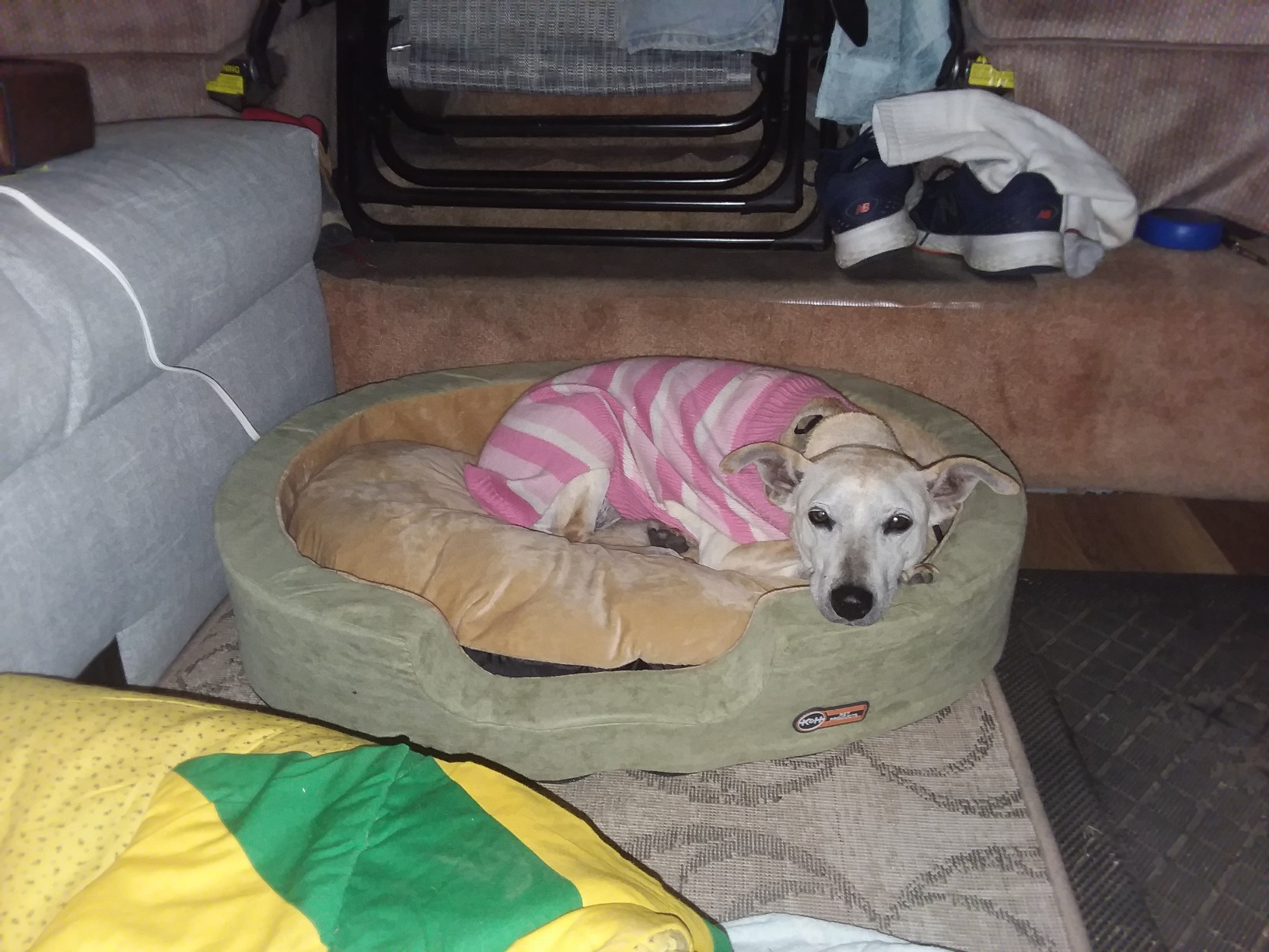 K&H Heated Dog Bed, Thermo-Snuggly Sleeper Indoor, Safety Listed, Medium 6W, 26x20in customer photo 2