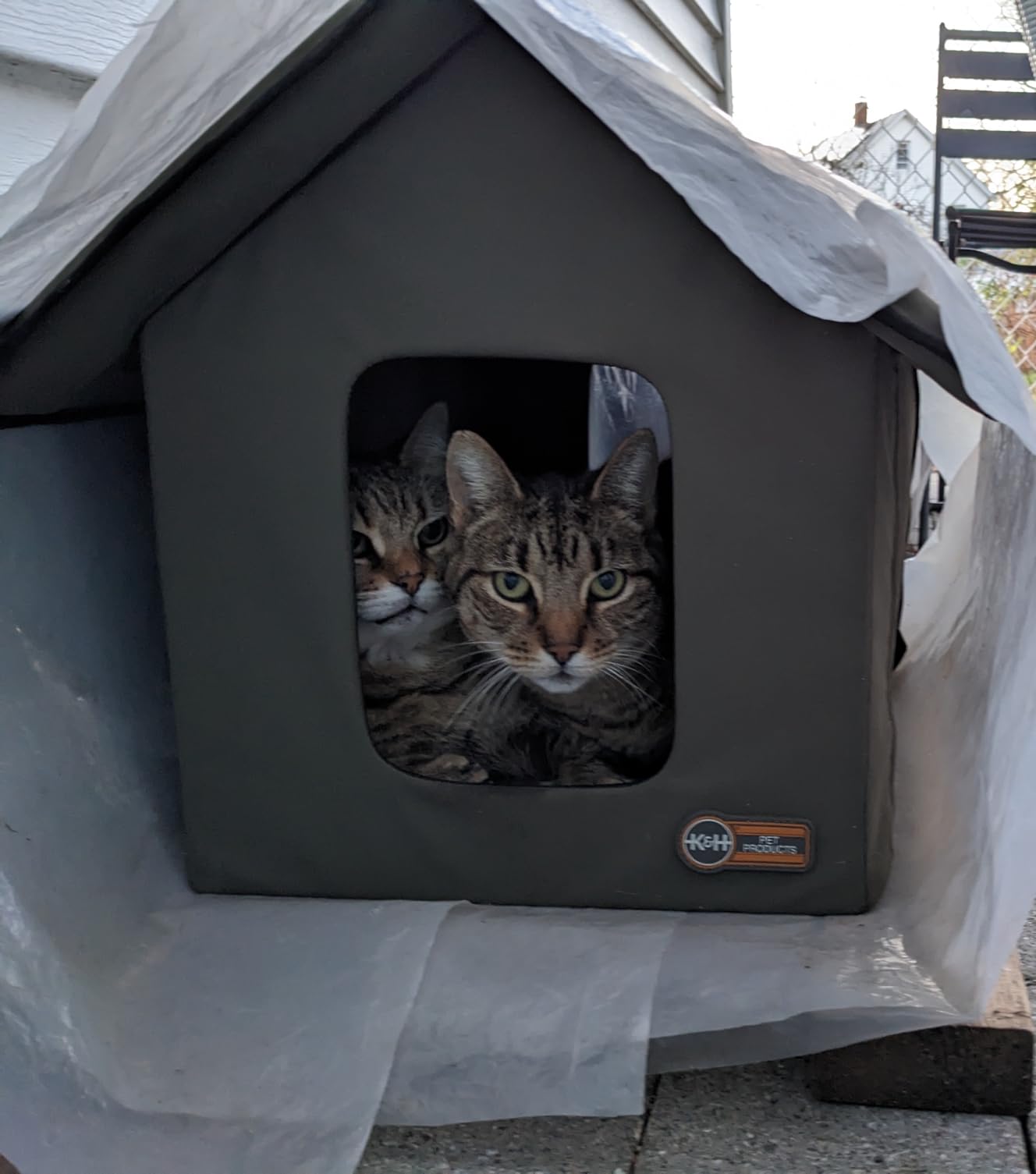 K&H Pet Products Heated Outdoor Cat House for Outside Pets in Winter, Weatherproof Outdoor House for Ferals, Insulated Kitty Shelter, 2 Doors, Waterproof Heated Cat Bed, Safety Listed customer photo 2