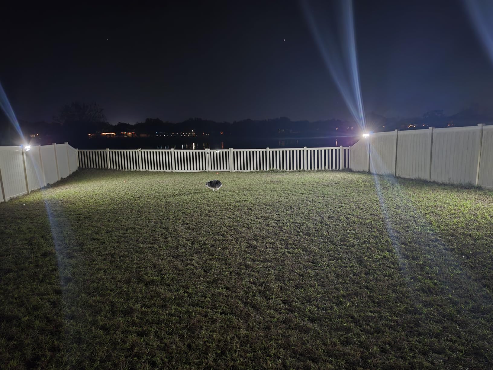 LEPOWER Solar LED Security Lights, PIR Motion Sensor Outdoor, 1600LM, Yard | 5500K Daylight, 72FT 180° Motion Sensor Flood Light, 3 Adjustable Head, Easy Install, IP65 Waterproof for Porch, Patio, Garage customer photo 1