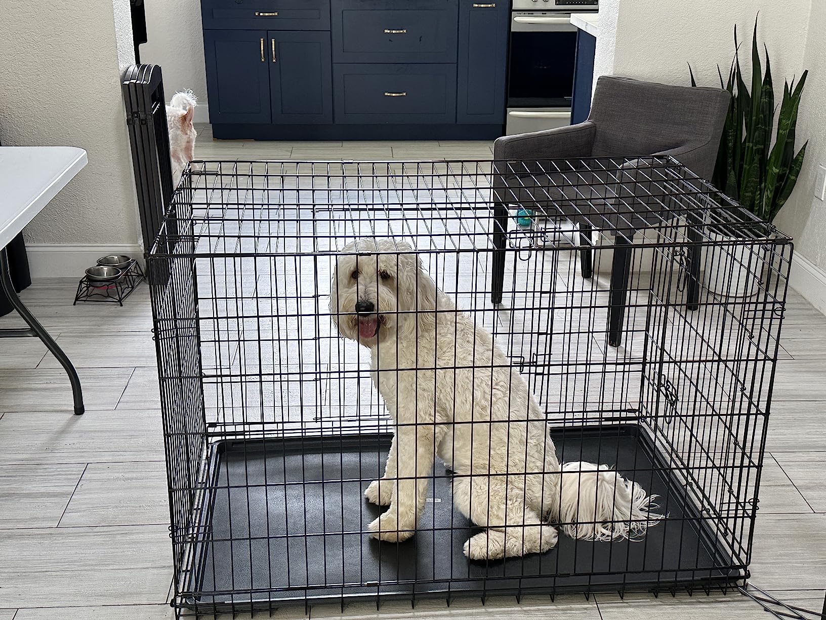 BestPet | Dog Crate | 48