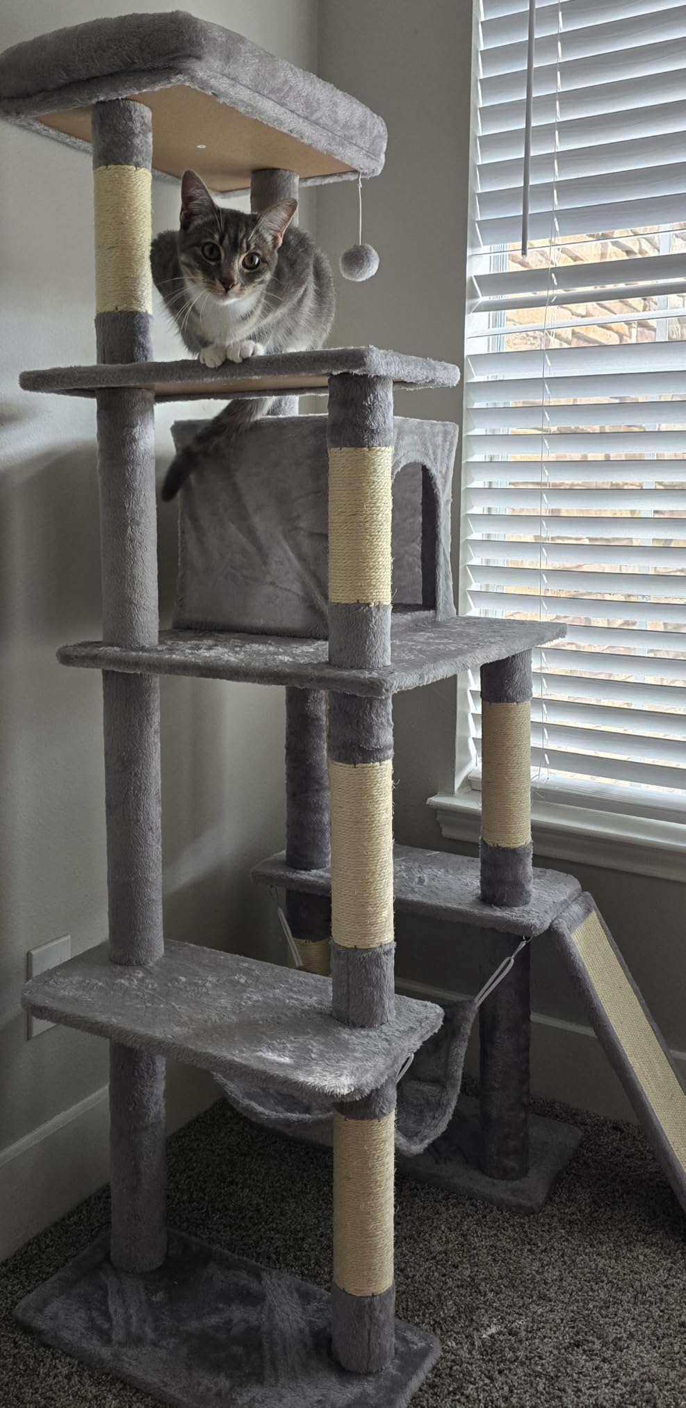 Yaheetech 63in Sturdy Large Cat Tree for Indoor Heavy Cats, Tall Tower | Plush condo, hammock, sisal scratching posts, multi-pet friendly, easy to assemble, stable wide base customer photo 1