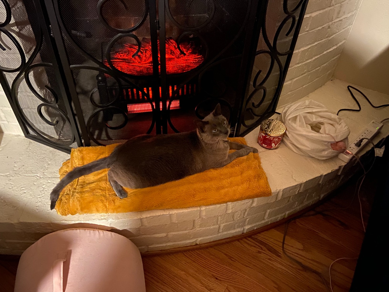 Electric Log Set 1,000 Sq Ft Infrared Heater, Faux Logs Insert with LED Flames for Existing Fireplaces, Crackling Sounds, Remote Control Included customer photo 2