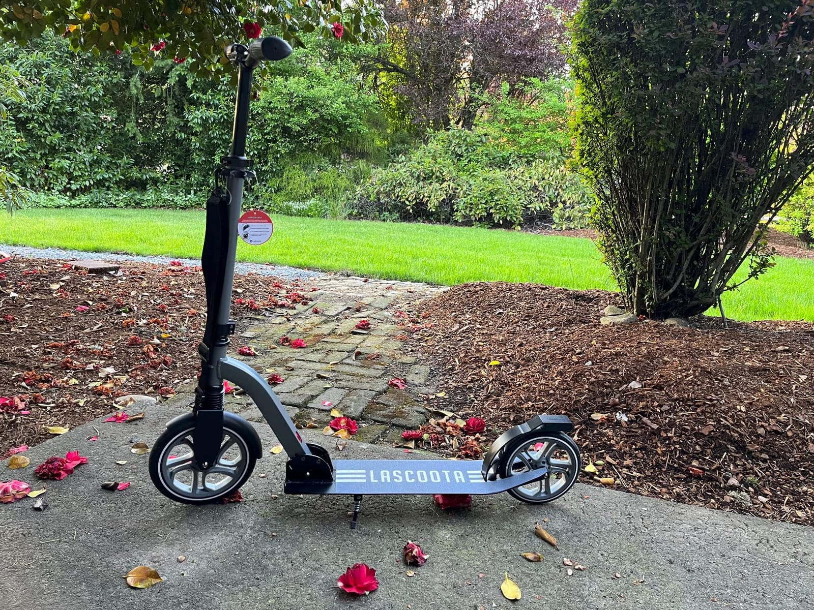 LaScoota Kick Scooter for Kids Ages 6+, Teens & Adults, Large 8