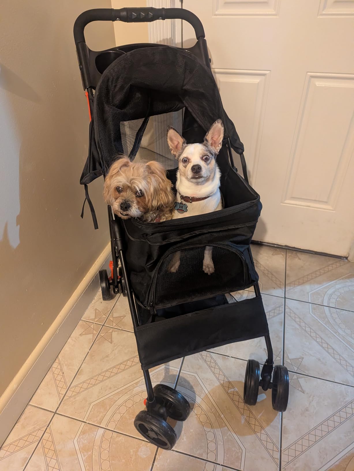 4 Wheels Pet Stroller Dog Cat Stroller for Small Medium Dog Cats Foldable Carrier Jogger Travel Puppy with Storage Basket and Cup Holder (Black) customer photo 1