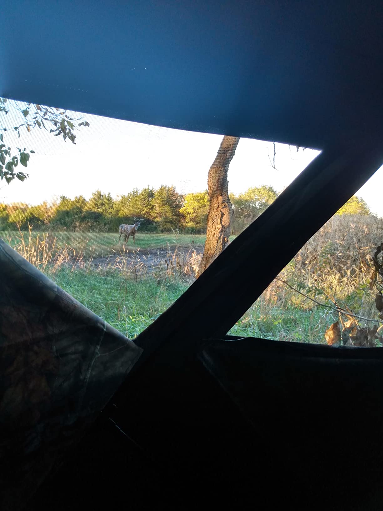 Ameristep Care Taker Ground Blind, Mossy Oak Break Up Country, Model: None customer photo 2