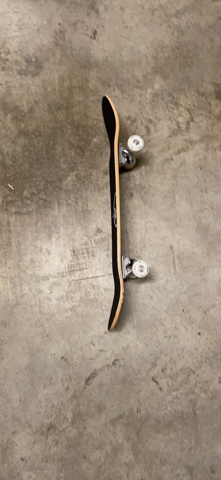 BELEEV Skateboards for Beginners, 31 x 8 inch Complete Skateboard for Kids Teens Adults, 7 Layer Canadian Maple Double Kick Deck Concave Cruiser Trick Skateboard with Multifunction Skate T-Tool customer photo 1