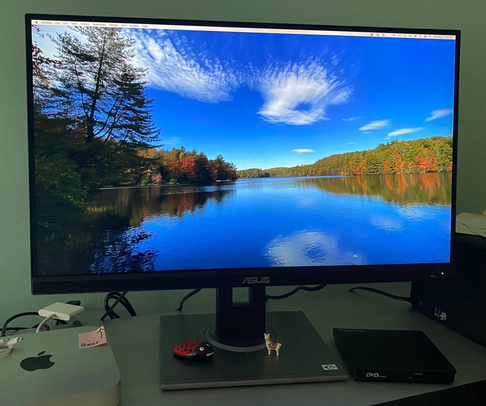 ASUS ProArt PA278QV 27 Inch 1440p QHD Professional Monitor | Calman Verified, IPS, Height Adjustable, 100% sRGB, Eye Care, Anti-Glare, Ergonomic Stand, Rec.709 customer photo 2
