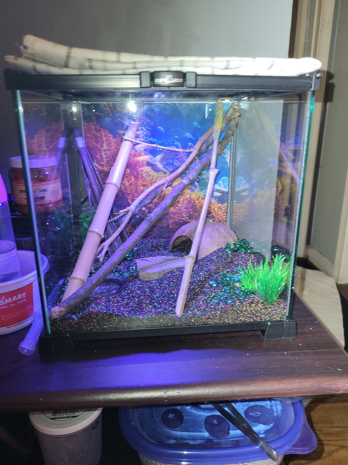 REPTI ZOO Full Glass 15 Gallon Reptile Tank, Medium Reptile Terrarium for Gecko Hermit Crab Hognose Snake etc, Top Screen Ventilation & Feeding customer photo 2