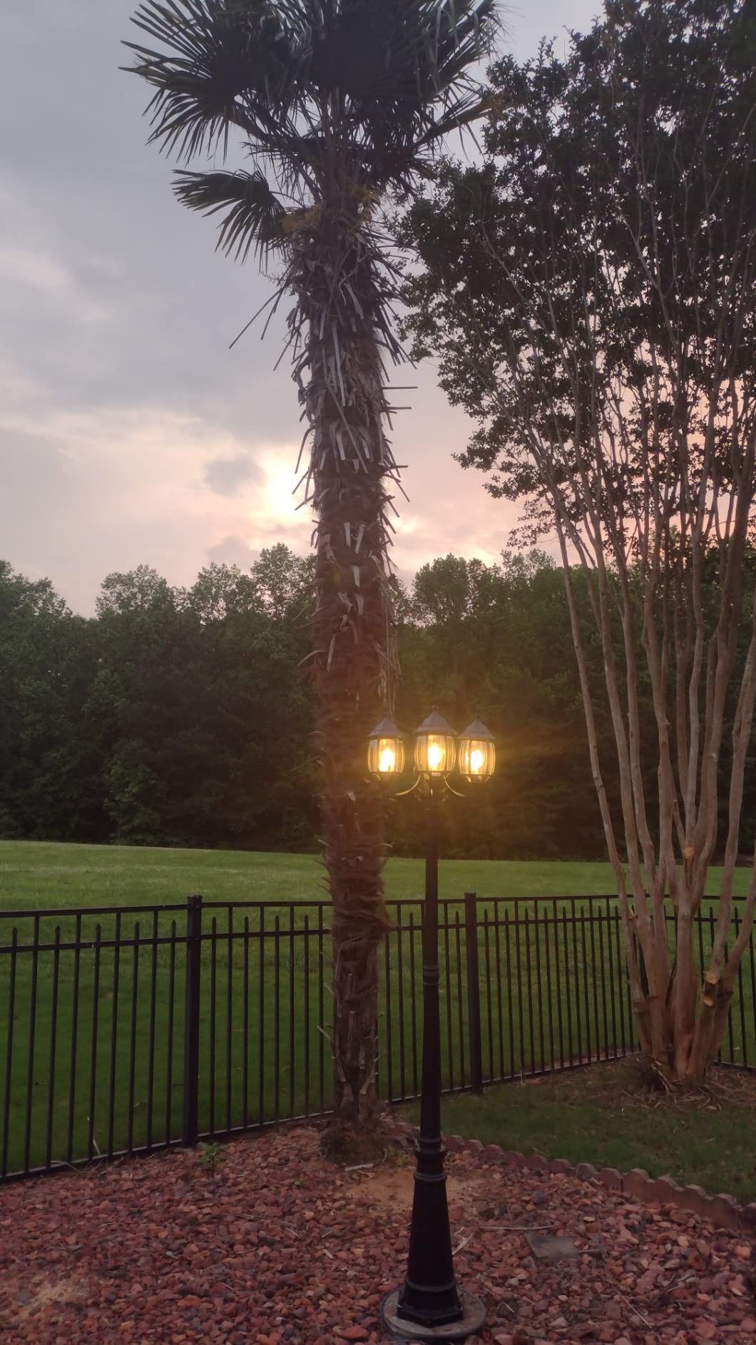 PARTPHONER Outdoor Lamp Post Light 3-Head, Classic Black with Clear Glass Panels, E26 Base Maximum 100W (3 LED Bulbs Included), Waterproof Street Light for Backyard, Garden, Driveway customer photo 1
