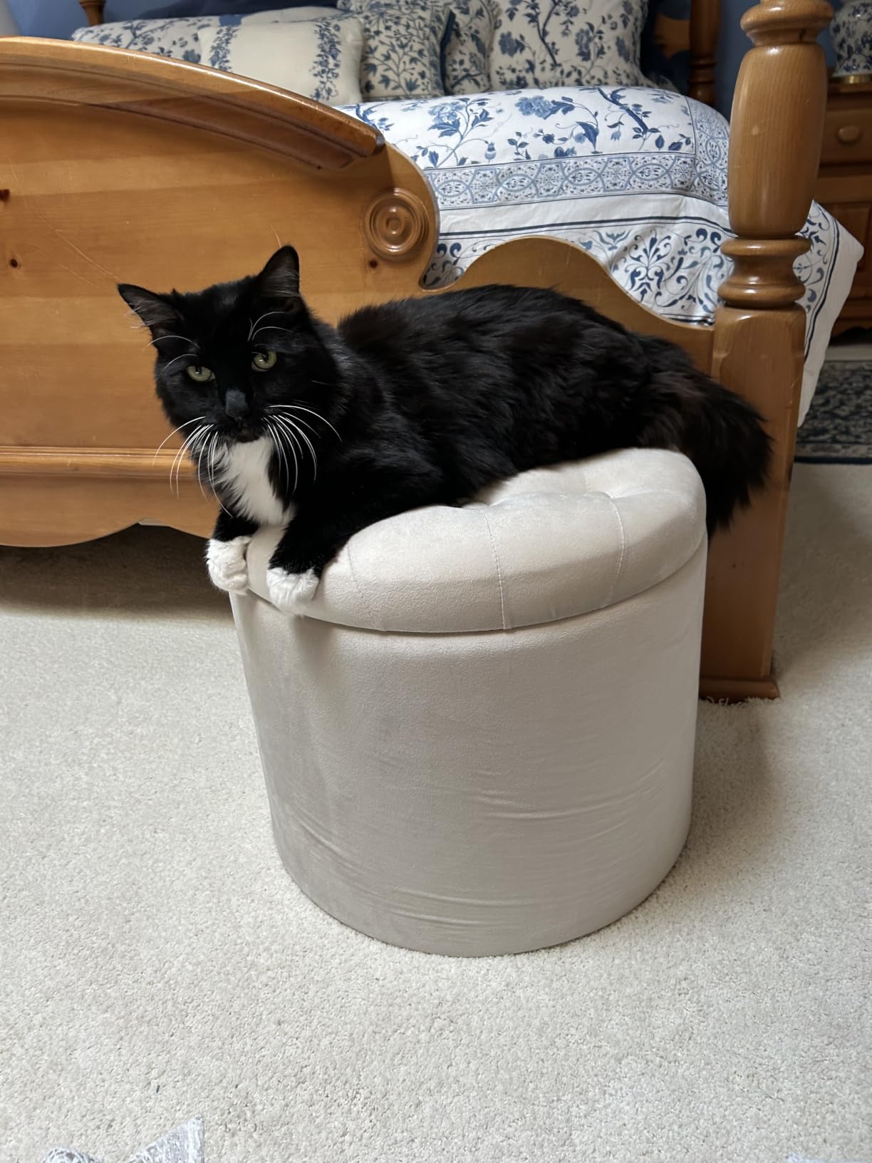 SONGMICS Round Ottoman, Ottoman with Storage, 17.7 Dia. x 17.5 H Inches Foot Rest with Legs, Load up to 330 lb, for Living Room, Bedroom, Dark Gray ULOM011G01 customer photo 1