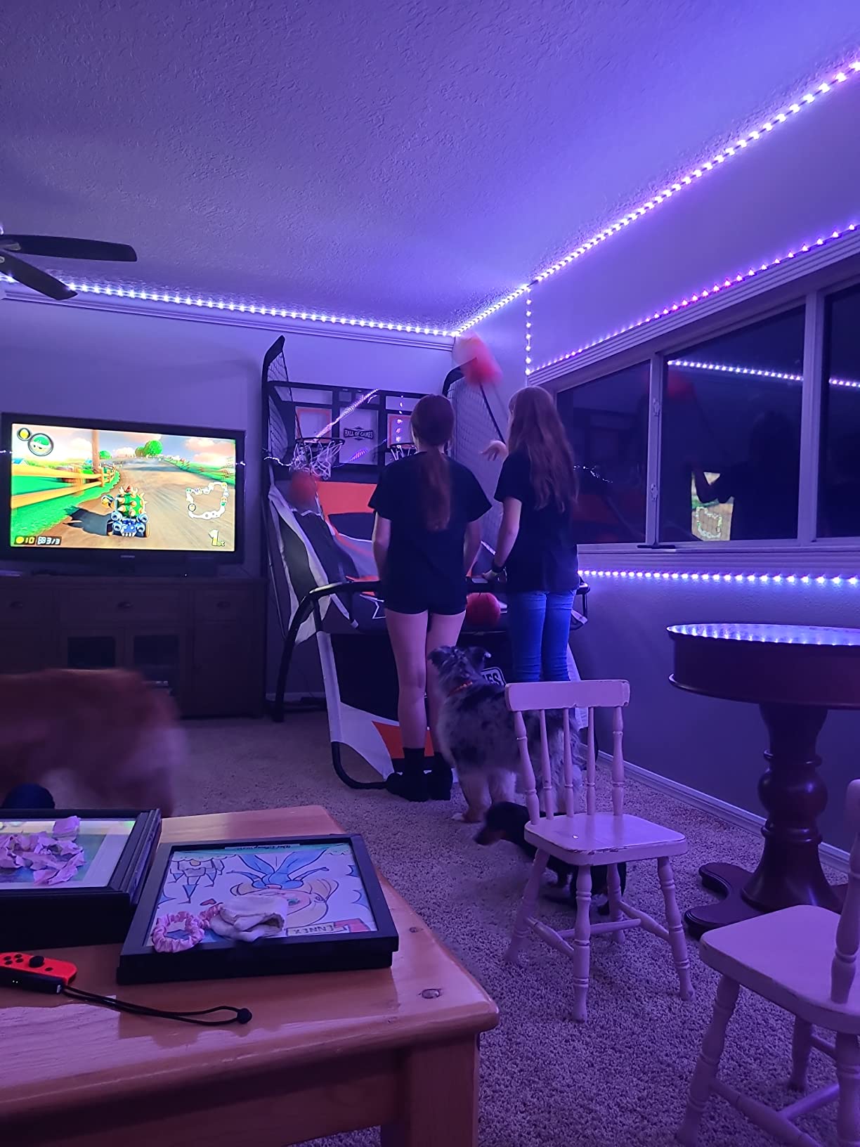 Hall Games Premium Arcade Basketball Shootout - Heavy-Duty Foldable Indoor Arcade Game with Shatterproof Pro-Style Backboard - 2 Player Foldable Basketball Arcade Game customer photo 1