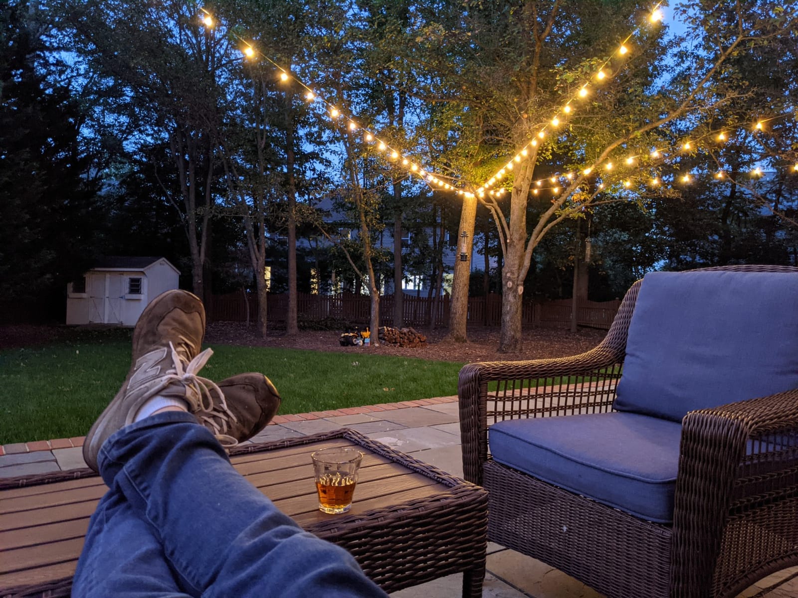 100ft 2-Pack Outdoor String Lights, G40 LED Globe Waterproof Patio Lights | 52 Shatterproof Edison Bulbs, Dimmable, Plug-In, Connectable, Commercial Hanging Lights for Porch Backyard Party Decor customer photo 2