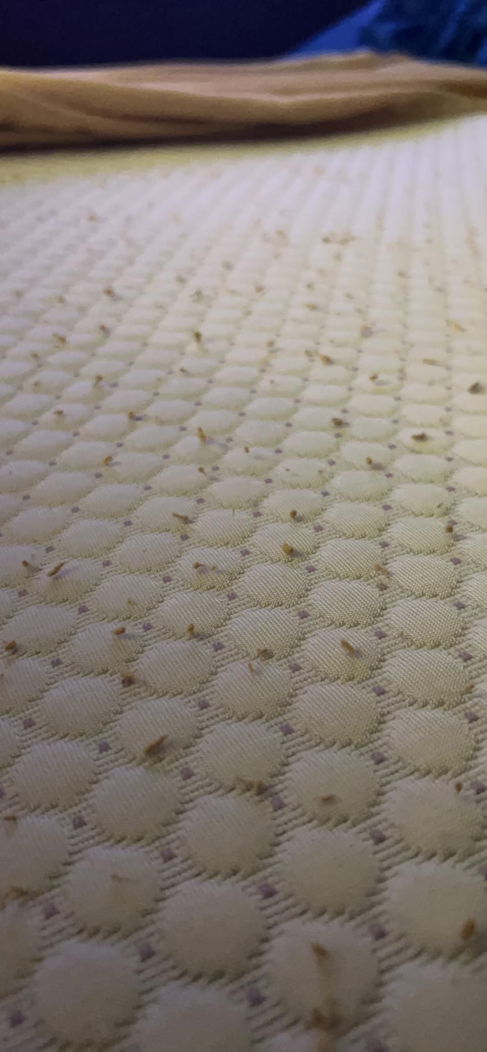 PERLECARE Queen Mattress Topper, 3 Inch Gel Memory Foam Mattress Topper for Pressure Relief, Premium Soft Cooling Sleep, Non-Slip Design with Removable & Washable Cover, Oeko-Tex Certified customer photo 2