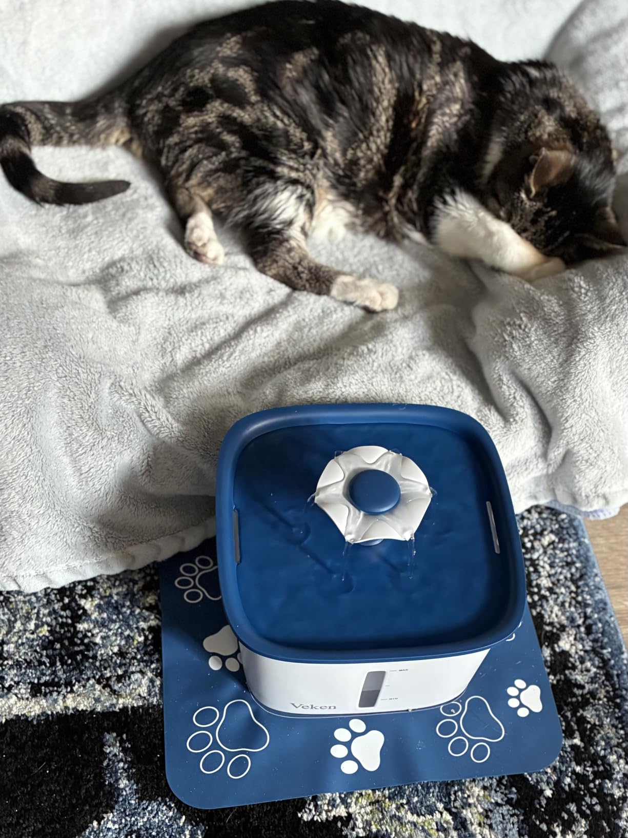 Veken Innovation Award Winner 95oz/2.8L Pet Fountain, Automatic Cat Water Fountain Dog Water Dispenser with Replacement Filters for Cats, Dogs, Multiple Pets (Grey, Plastic) customer photo 2