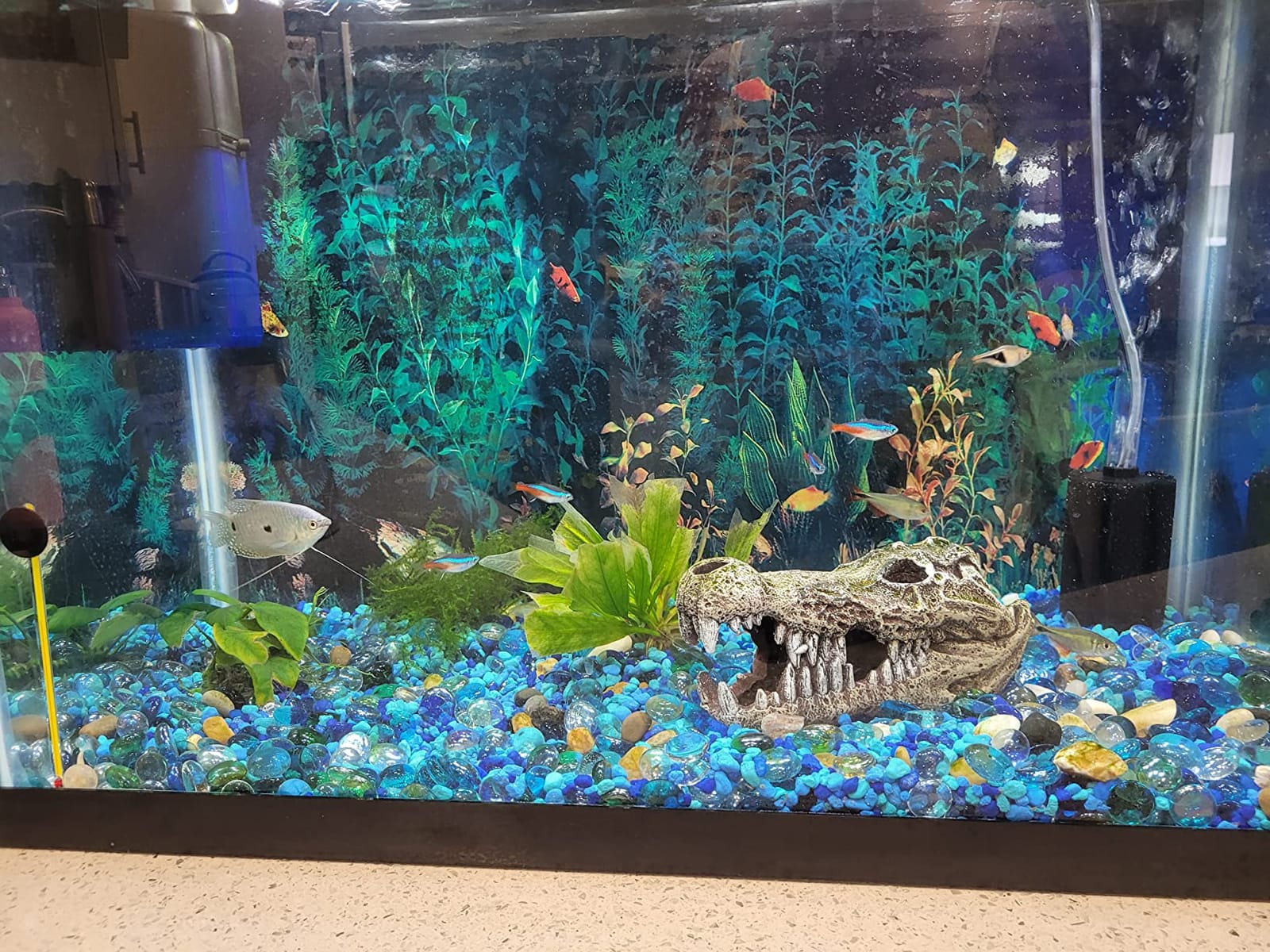 Pawfly Aquarium Large Bio Sponge Filter Quiet Betta Fry Shrimp and Small Fish Foam Filter for Fish Tank up to 60 Gallon customer photo 1