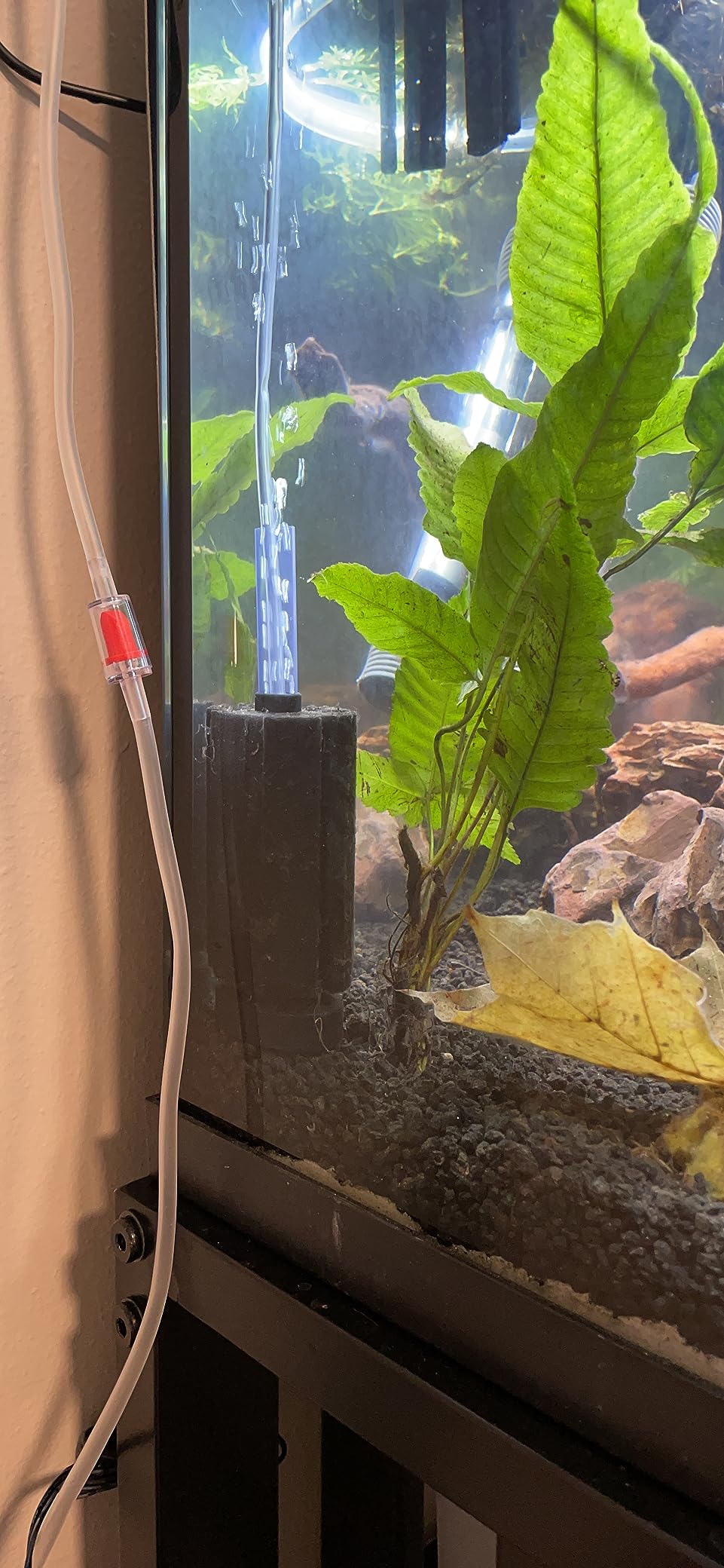 Pawfly Aquarium Large Bio Sponge Filter Quiet Betta Fry Shrimp and Small Fish Foam Filter for Fish Tank up to 60 Gallon customer photo 2