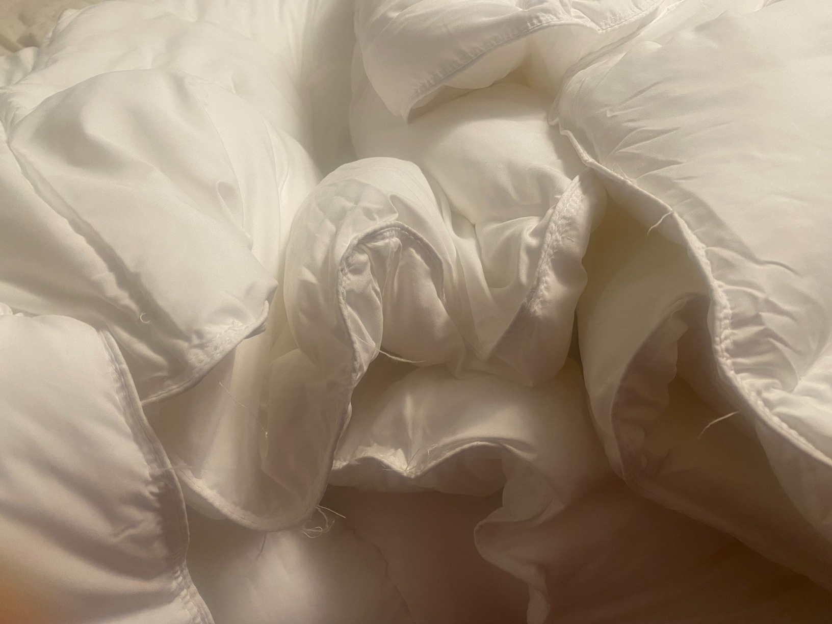 Serta Down Illusion All Season Down Alternative Comforter, Full/Queen customer photo 2